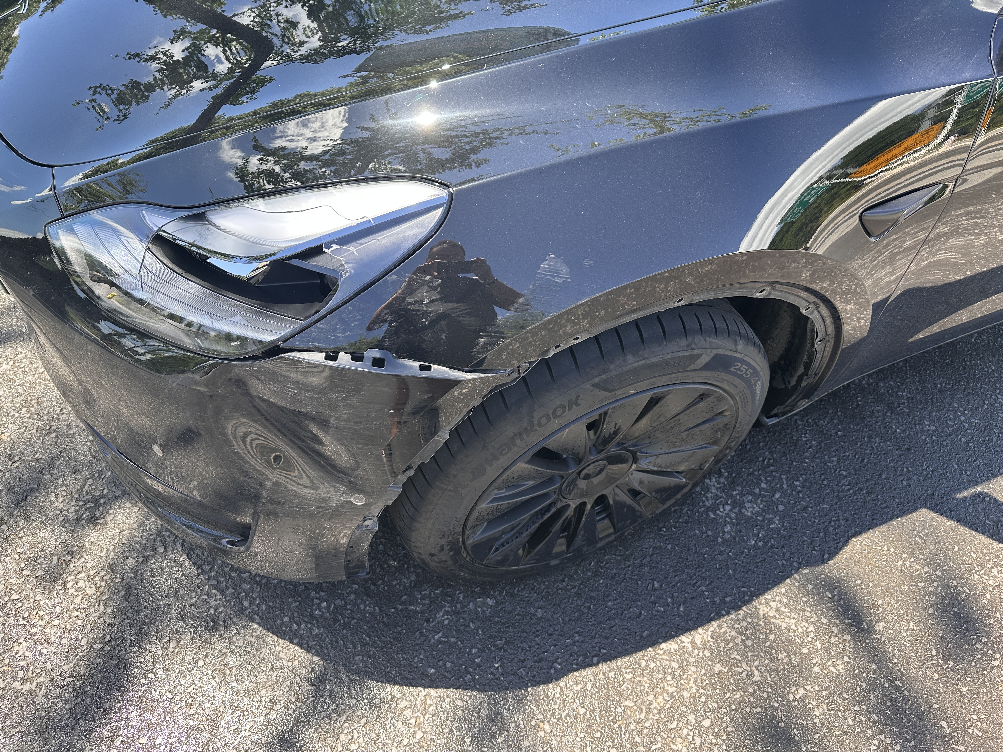 撞野猪咯南京野猪真多 - 图片 1