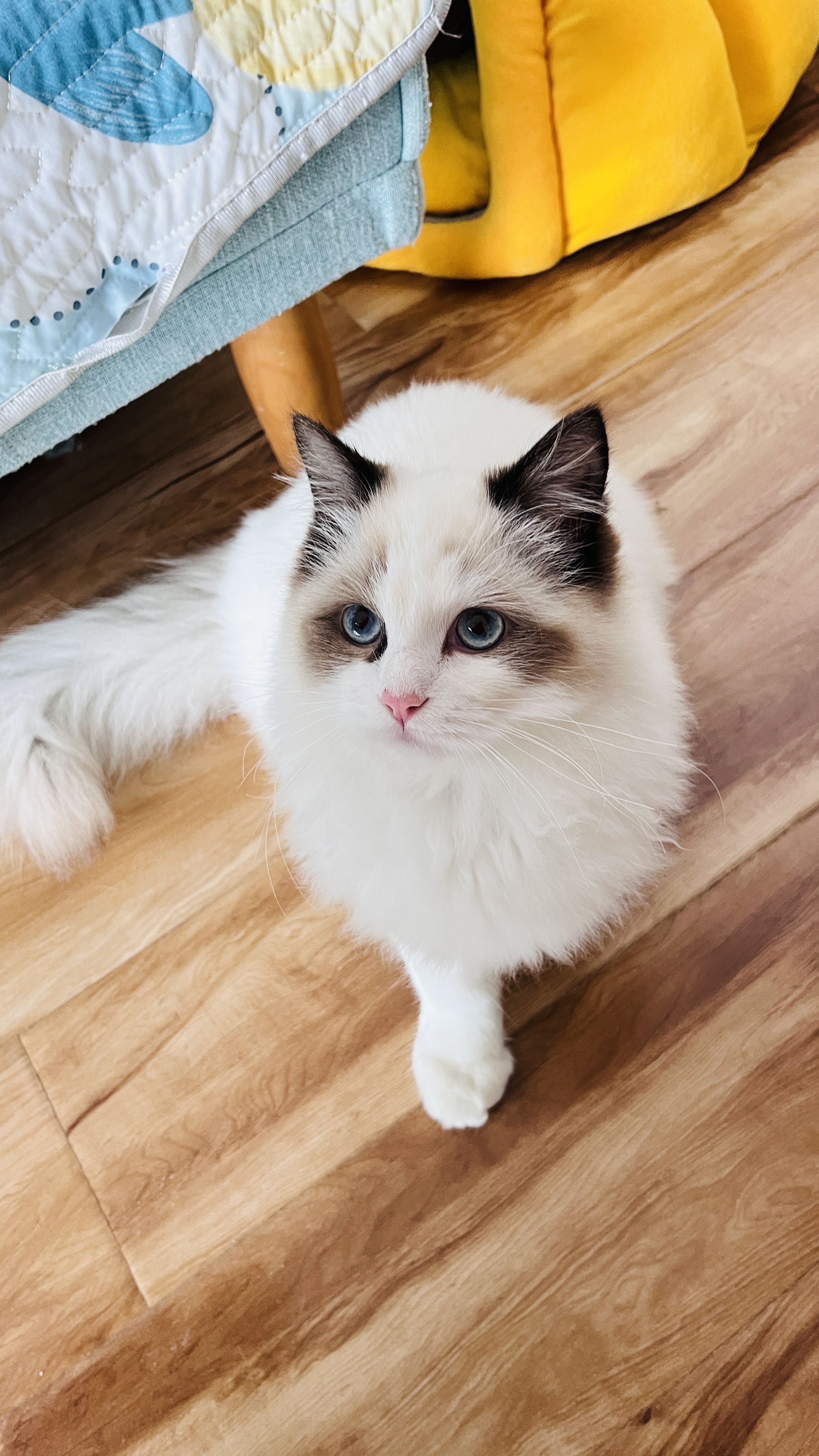 坐标武汉，23年标Y，第三年保险，大家都什么价，没违章，没出险，为什么我的比去年还贵了1200，今年5800🐸🐸🐸 - 图片 1