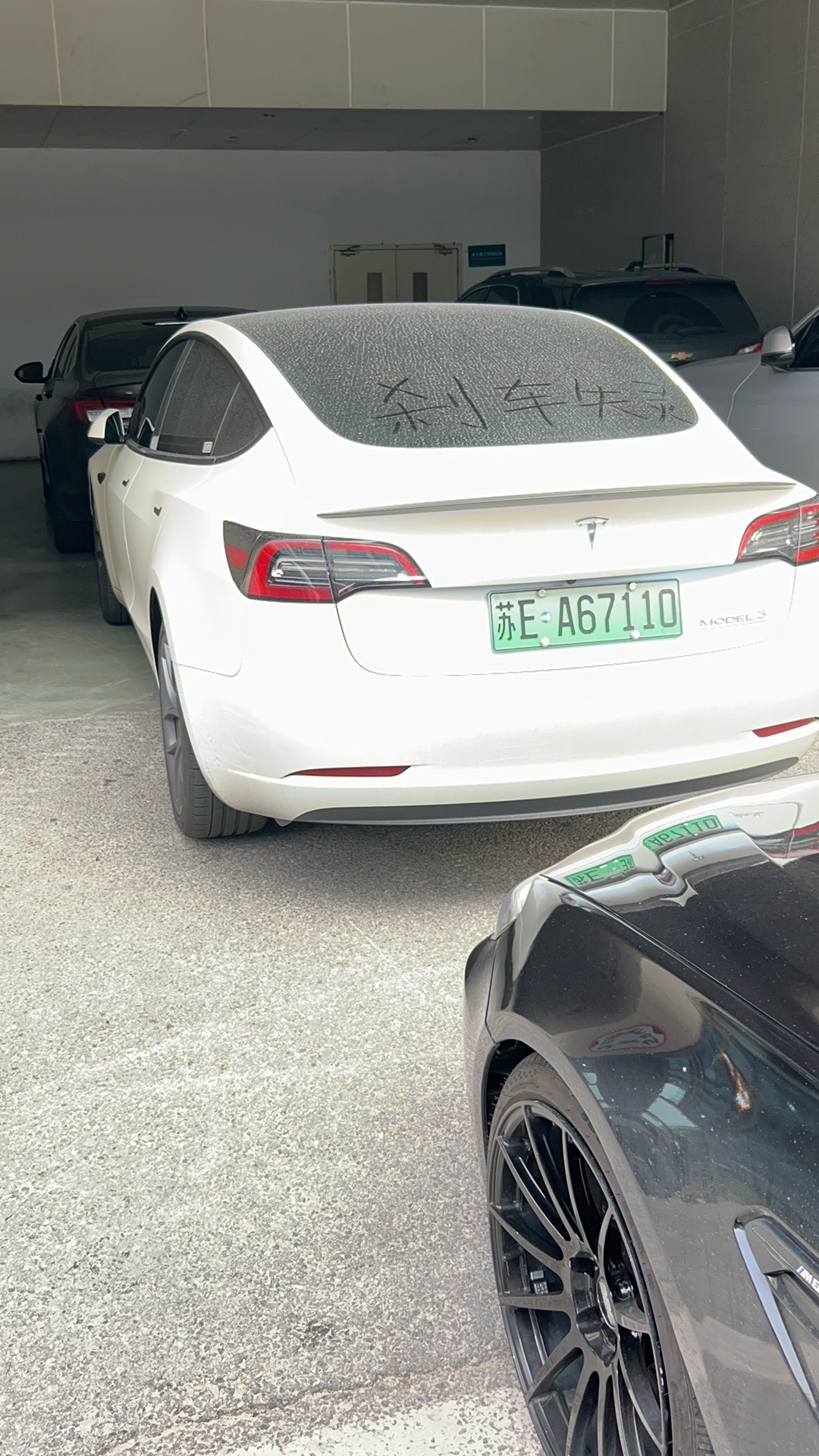 我这多少艺术成分 - 图片 1