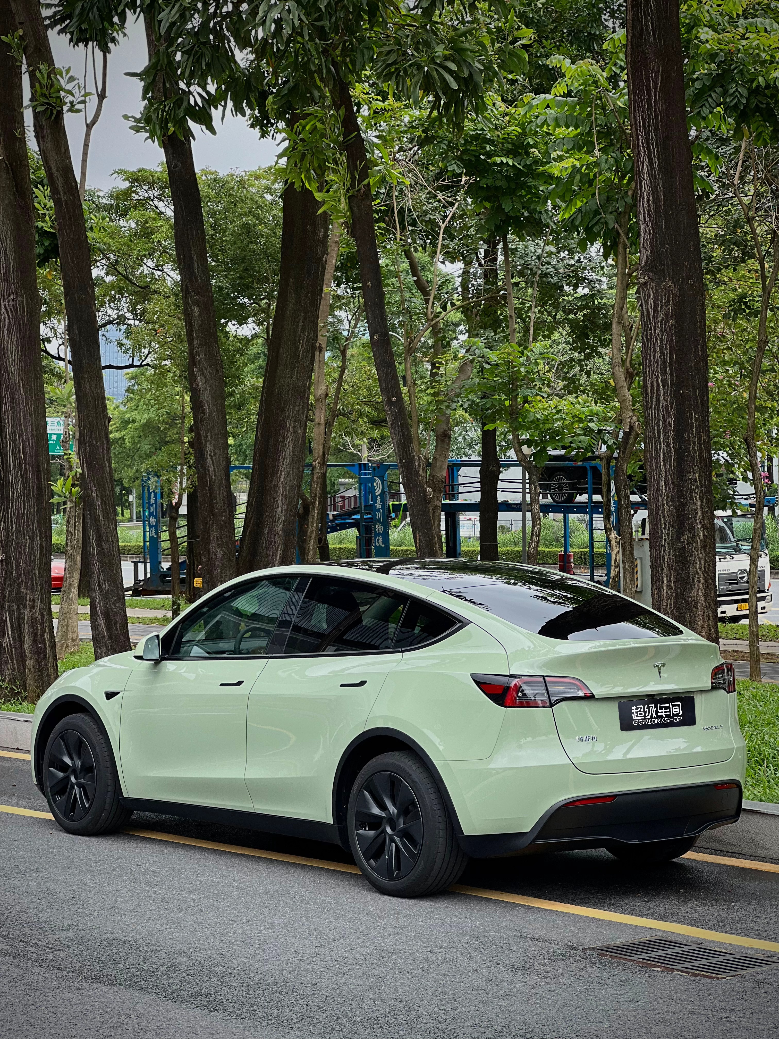 特斯拉Model Y，水晶卡其绿! 温温柔柔的莫兰迪色系！百看不厌的绿！ - 图片 2