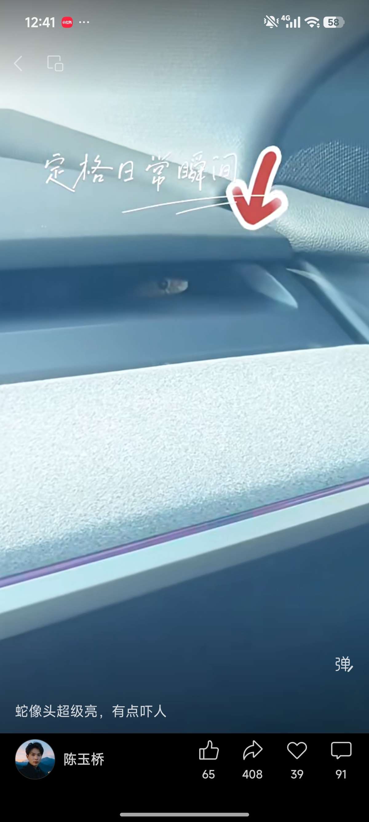 蛇能通过空调口爬进来不？model y 有 heap 滤芯，能抵挡吗？ - 图片 1
