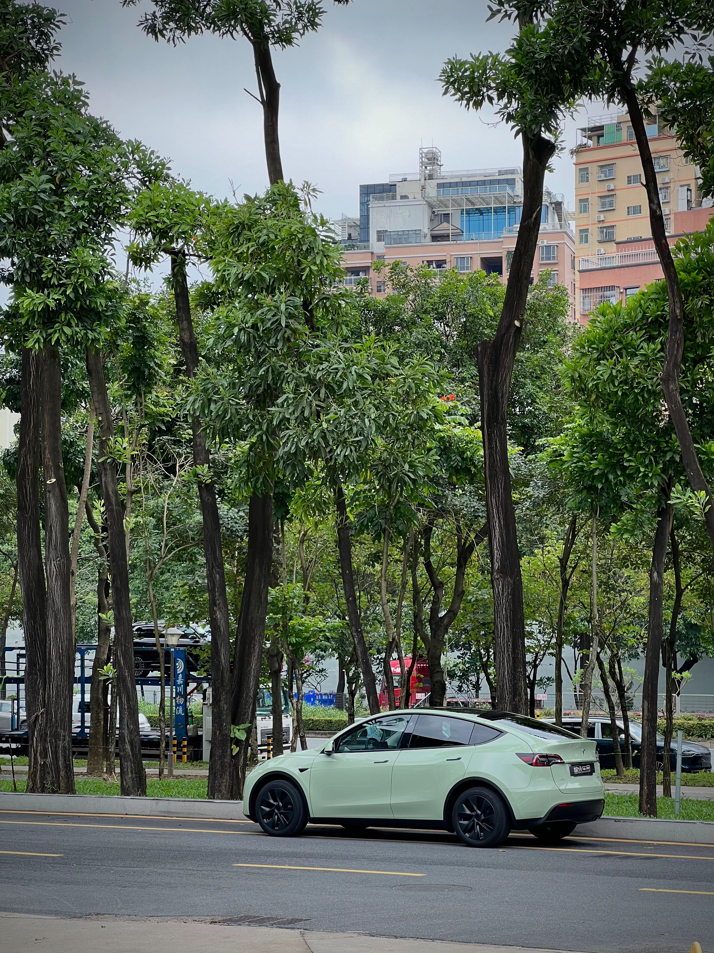 特斯拉Model Y，水晶卡其绿! 温温柔柔的莫兰迪色系！百看不厌的绿！ - 图片 3