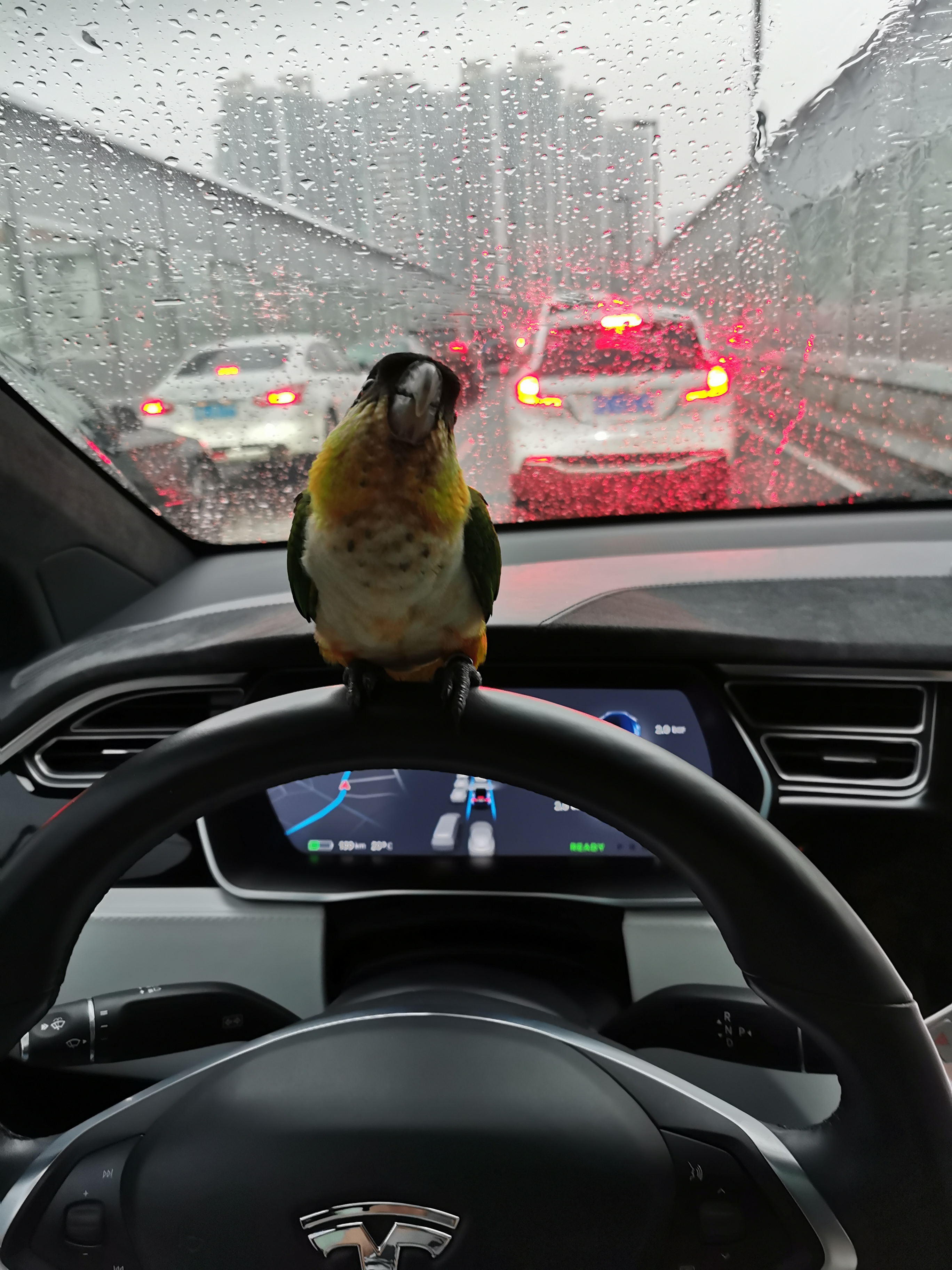 开车回家了💋💋💋 - 图片 1