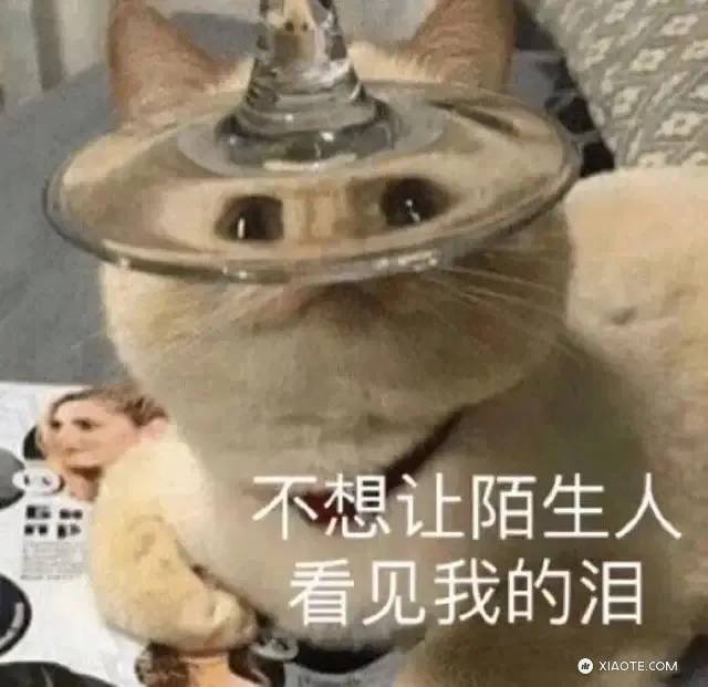 狗狗币老板马一龙,你欠我一个解释!
昨天临时销售通知我定的白内标Y延期4周,改到11月才能交付。如果改20寸,可以10月提车。
但是我8.8下定时候给我说预计提车时间9月底!为此事先各种给老婆承诺才放 - 图片 2