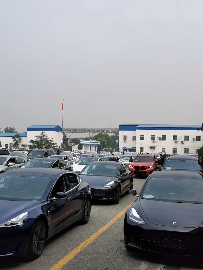 今天上牌，全是特斯拉 - 图片 1