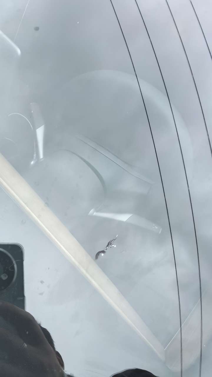 特斯拉玻璃真脆，同样飞石崩碎已经两次了 - 图片 2