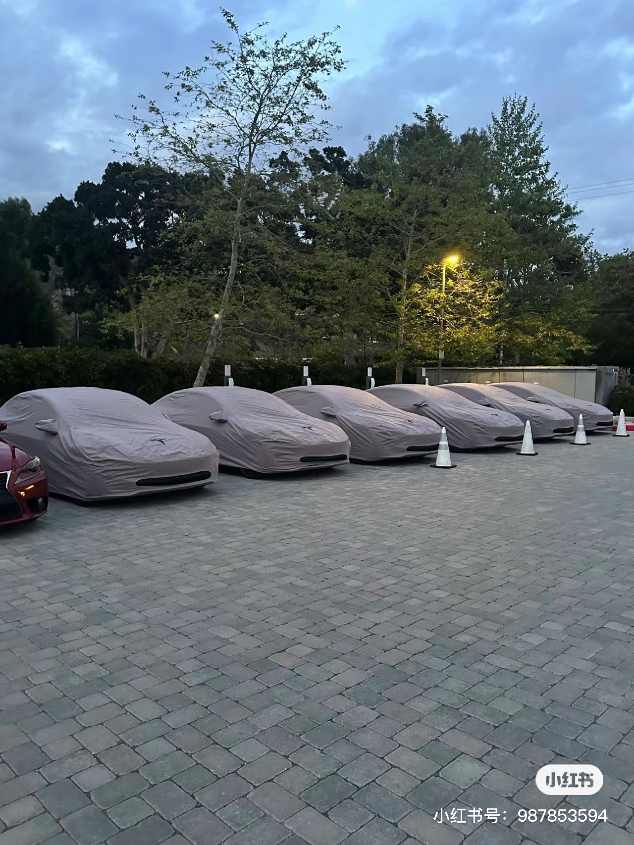 她来了喂~ - 图片 3