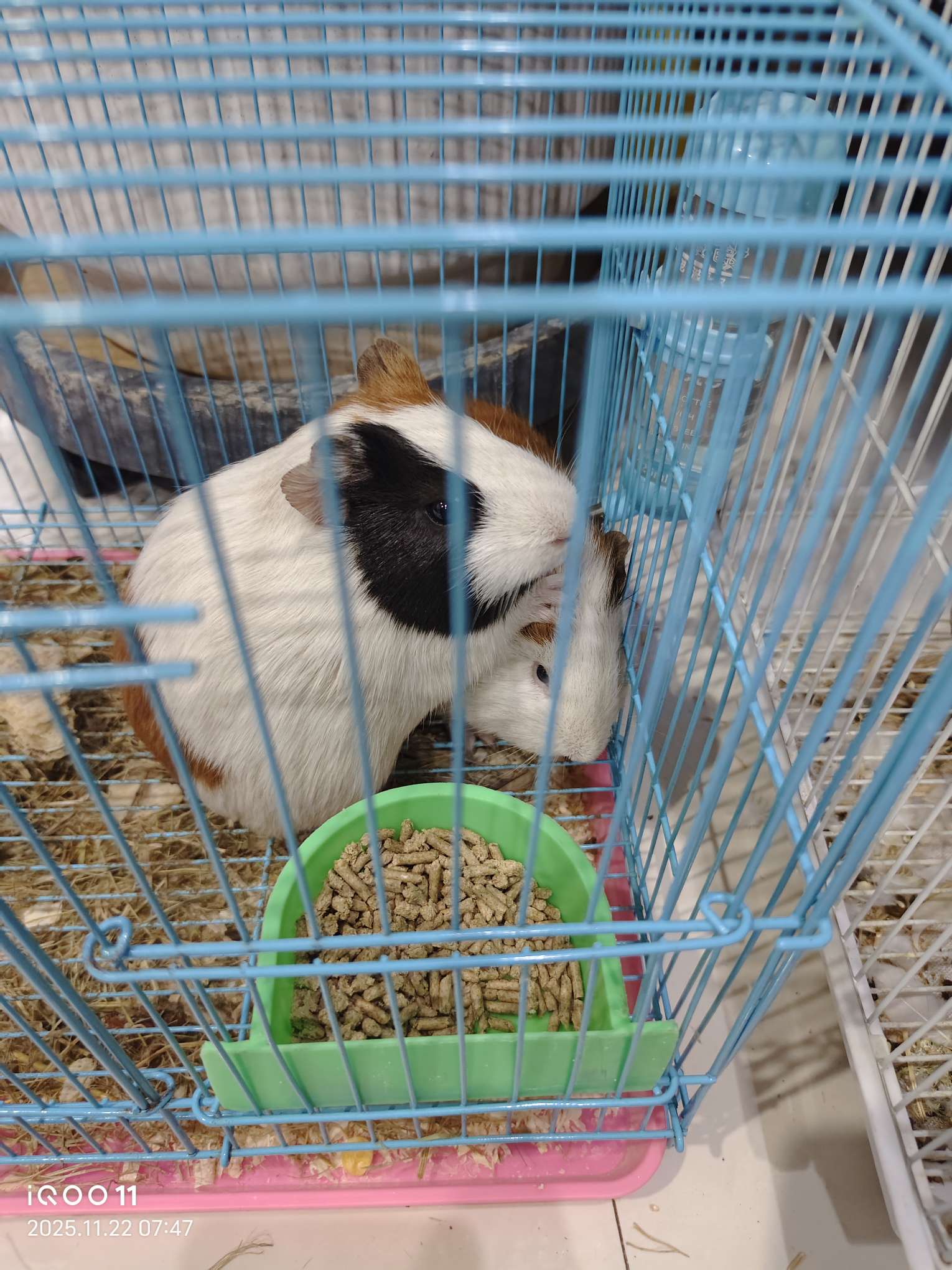 大家有没有物理强制远光的方案？不是加模块那种，就是用一个折叠的什么支撑杆，用的时候打开抵住远光杆，不用的时候能快速收回。 - 图片 1