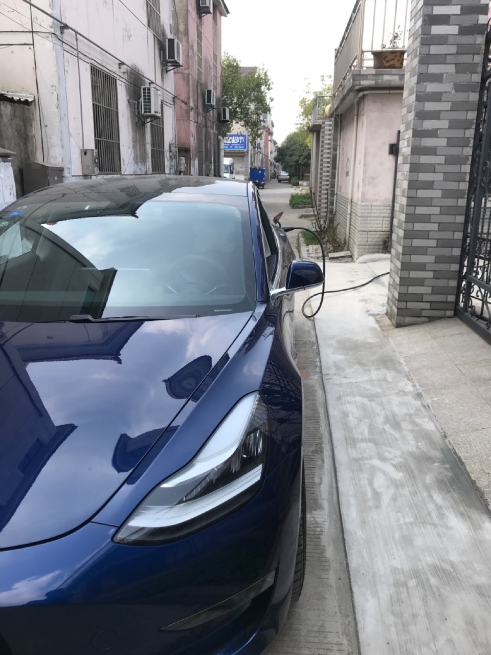 今天对于我和小三子来说是个激动的日子！终于家里有奶了。😁🌻 - 图片 9