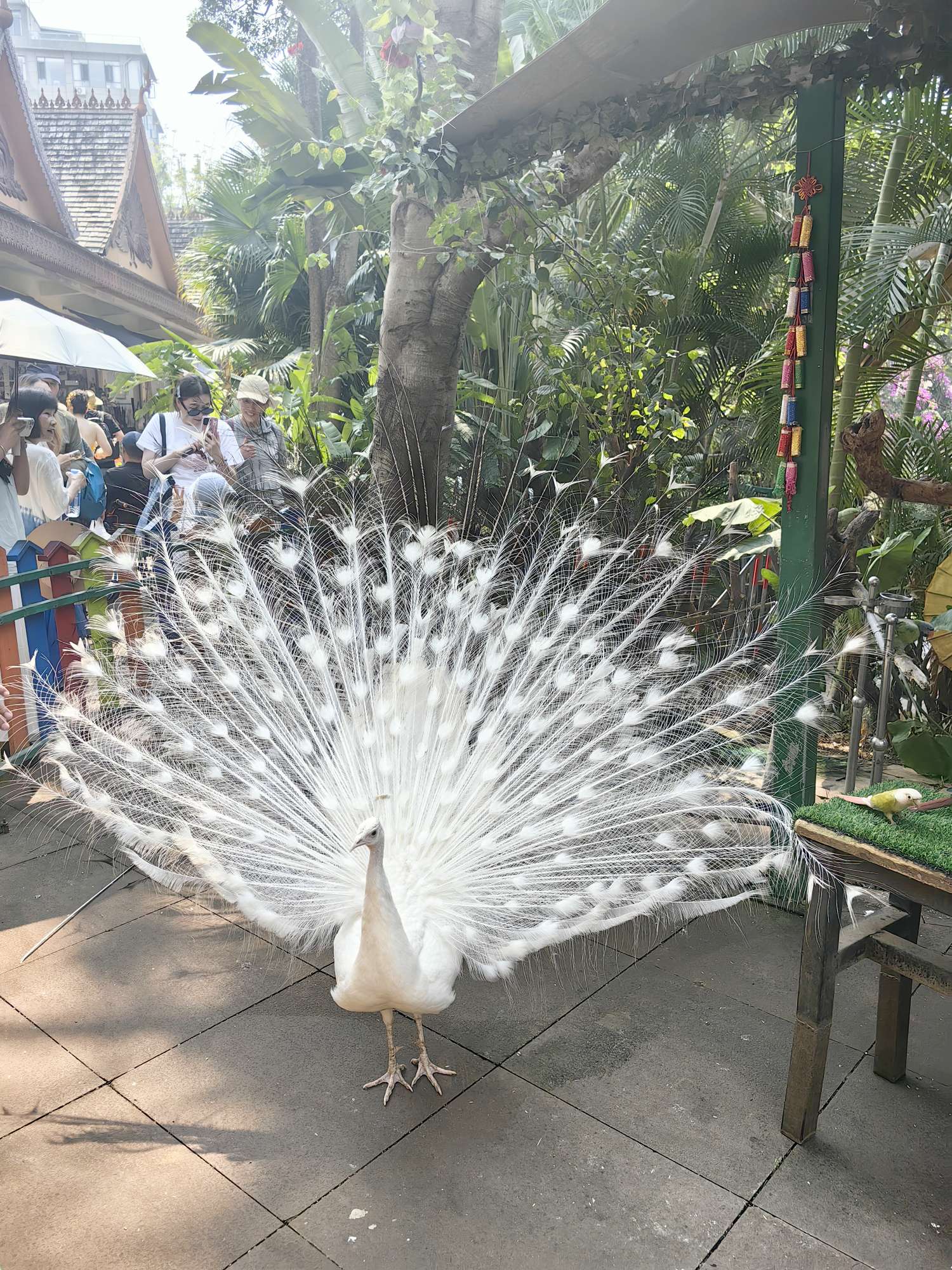 问问四川的车友，你们的报废补贴是多久到账的啊？ - 图片 1