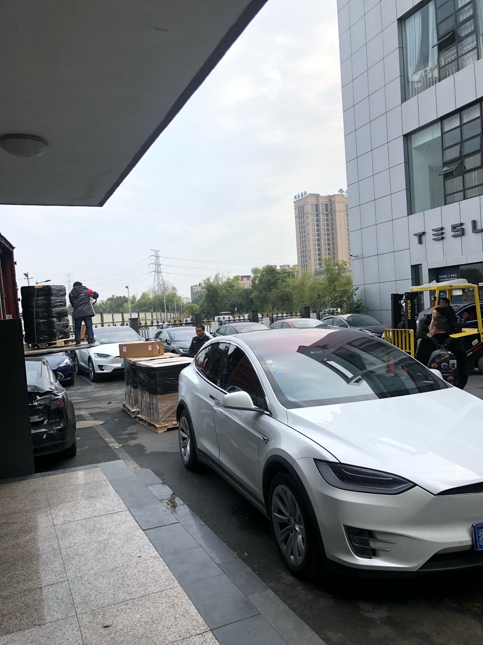 车终于修好了
繁忙的沈半路，永远繁忙
回家路上遇到野牛
终于摆脱用改装的JR代步的悲剧生活了
一杯咖啡结束没有特斯拉的日子
 - 图片 2