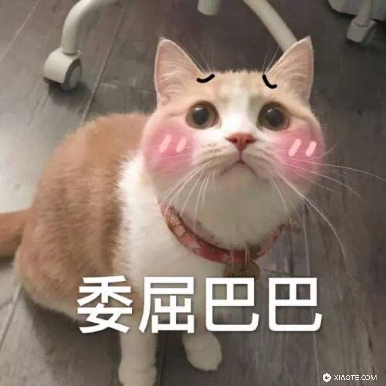 懒人,一直用32.12.2,没更新到36。停在公司用第三方充电桩,跳枪好多次。逼不得已今天准备更36,不知道跳枪情况会缓解吗? - 图片 1