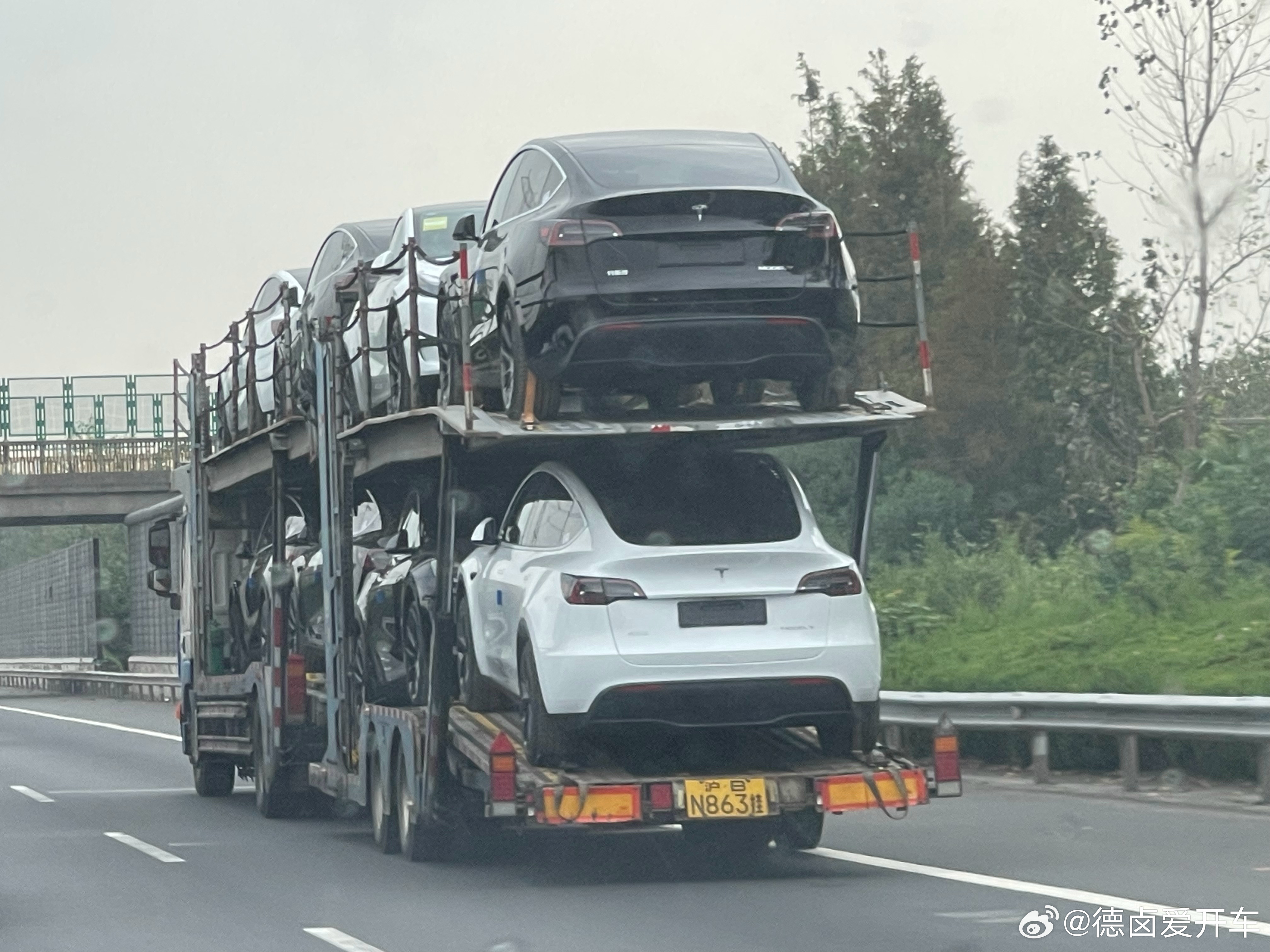 在临港偶遇新Y。

 #新能源汽车#

  - 图片 1