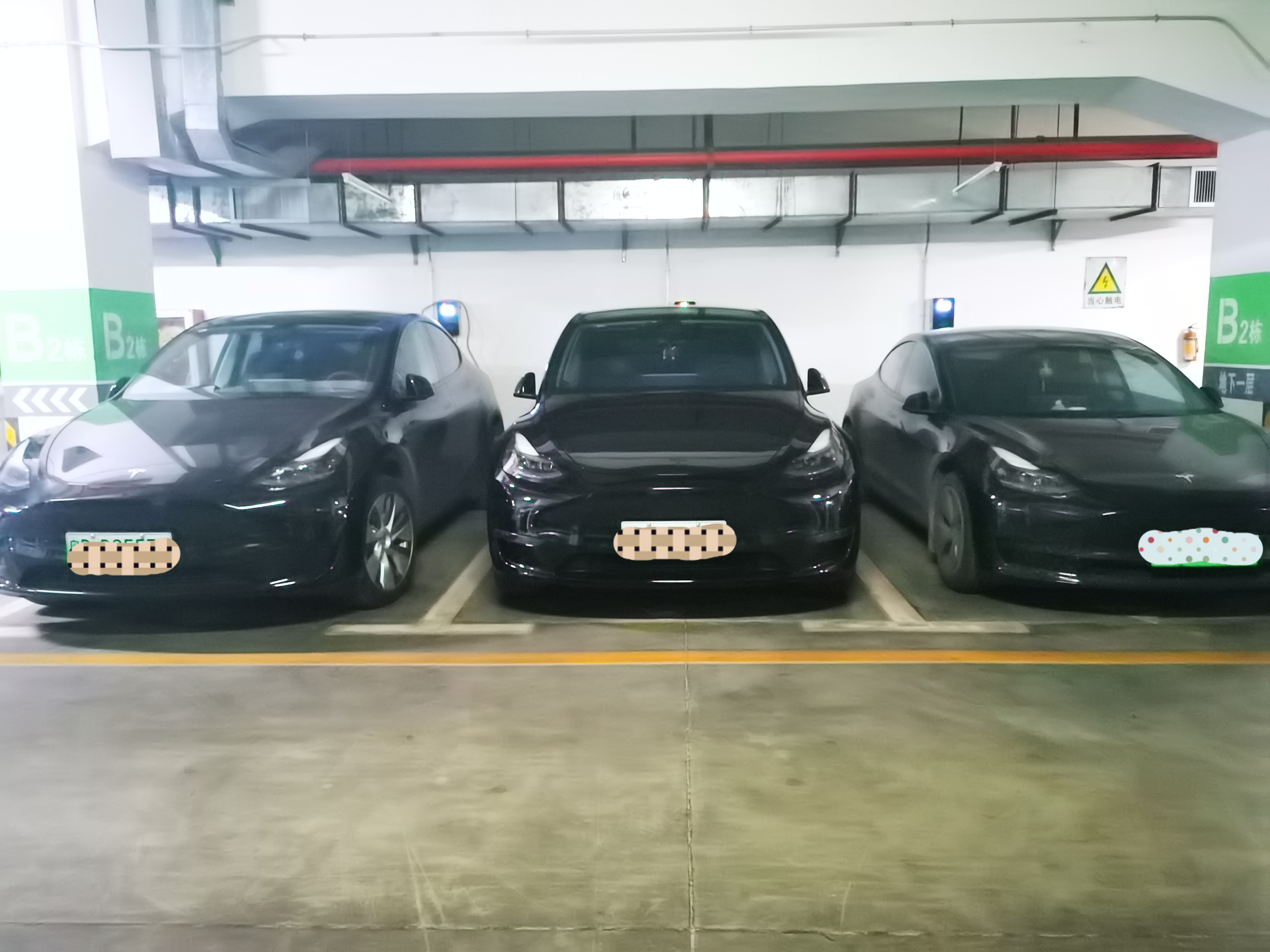 仿佛回到了交付现场，深圳地库的小特特是真的多 - 图片 1