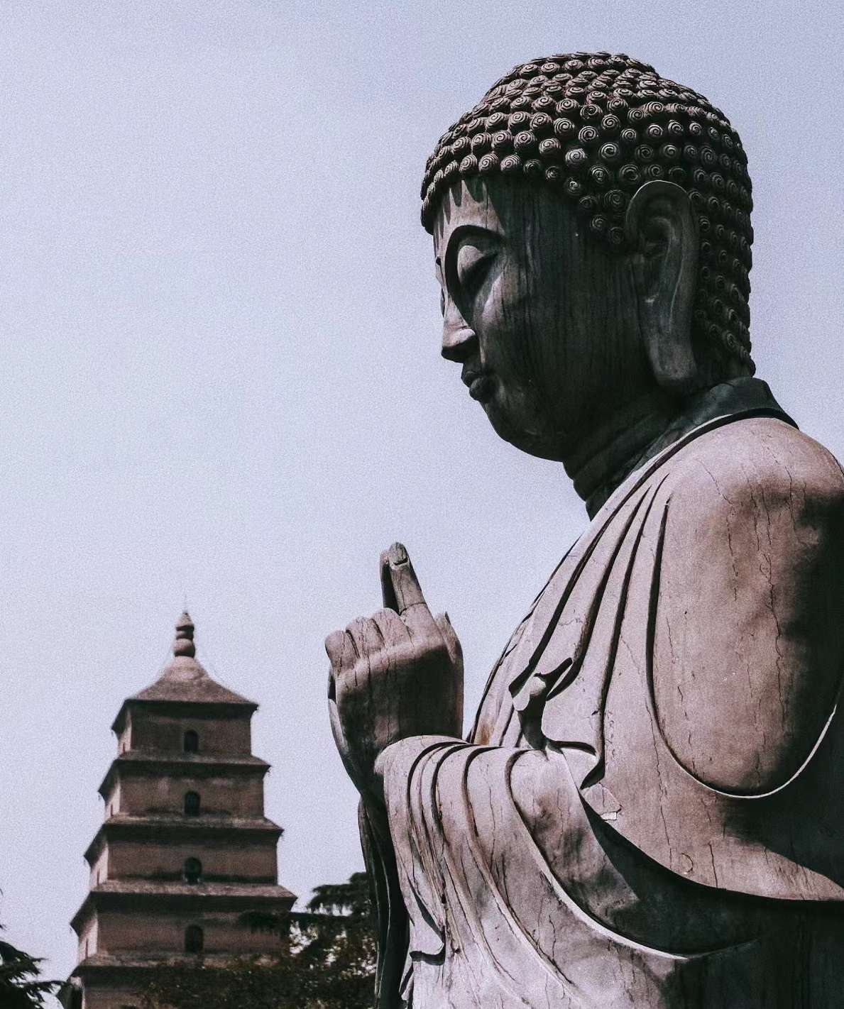 失业中，现在什么行业好做，好兄弟们出出招 - 图片 1