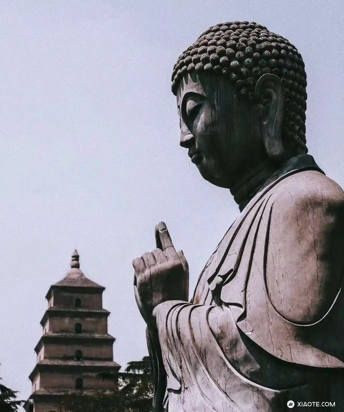 失业中,现在什么行业好做,好兄弟们出出招 - 图片 1