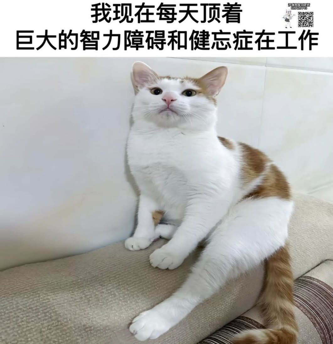 说真的今天这么大规模宣传fsd入华，让我感觉反而不太好，本来就是官方发帖庆祝fsd进入立陶宛，咱们解读成进入中国，还大肆宣传。
这玩意该不会就想起哄一波然后就过去了，之后该不能用还是不能用😂 - 图片 1