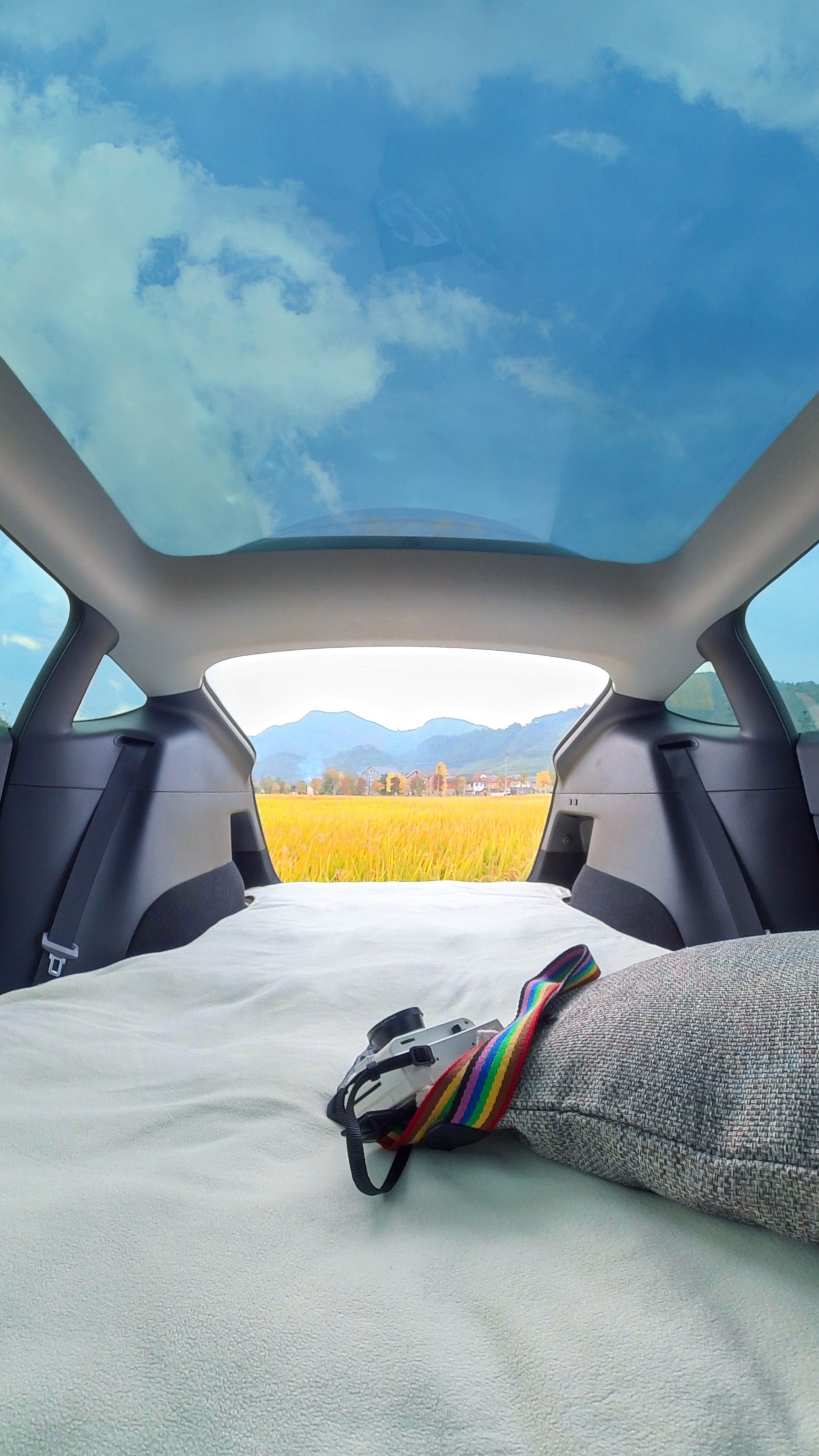 去山里野总需要躺一躺的吧😏 - 图片 1