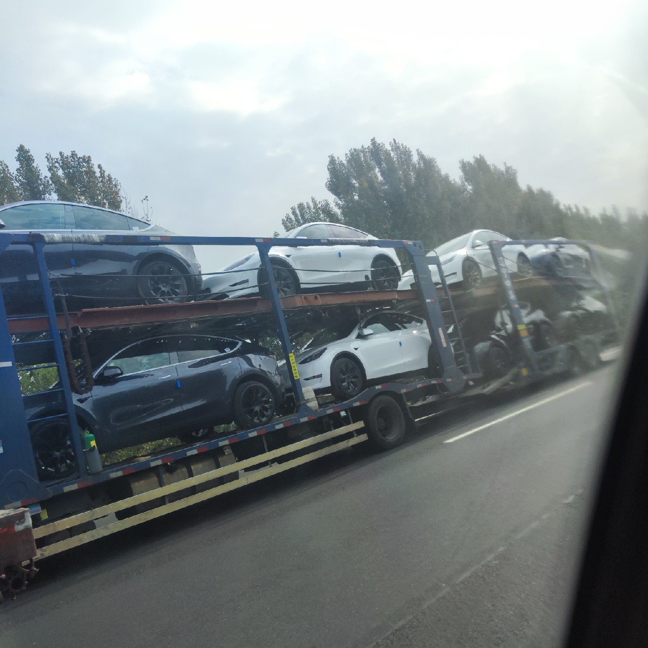 是谁的新y🤤🤤🤤 - 图片 1