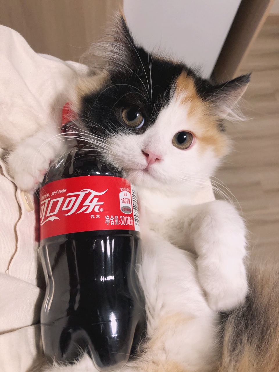 有没有一起学习交流特斯拉改装，维修等方面的地方

感觉这个车跟以前的苹果手机一样 可玩性很高
想发展一下😁 - 图片 1