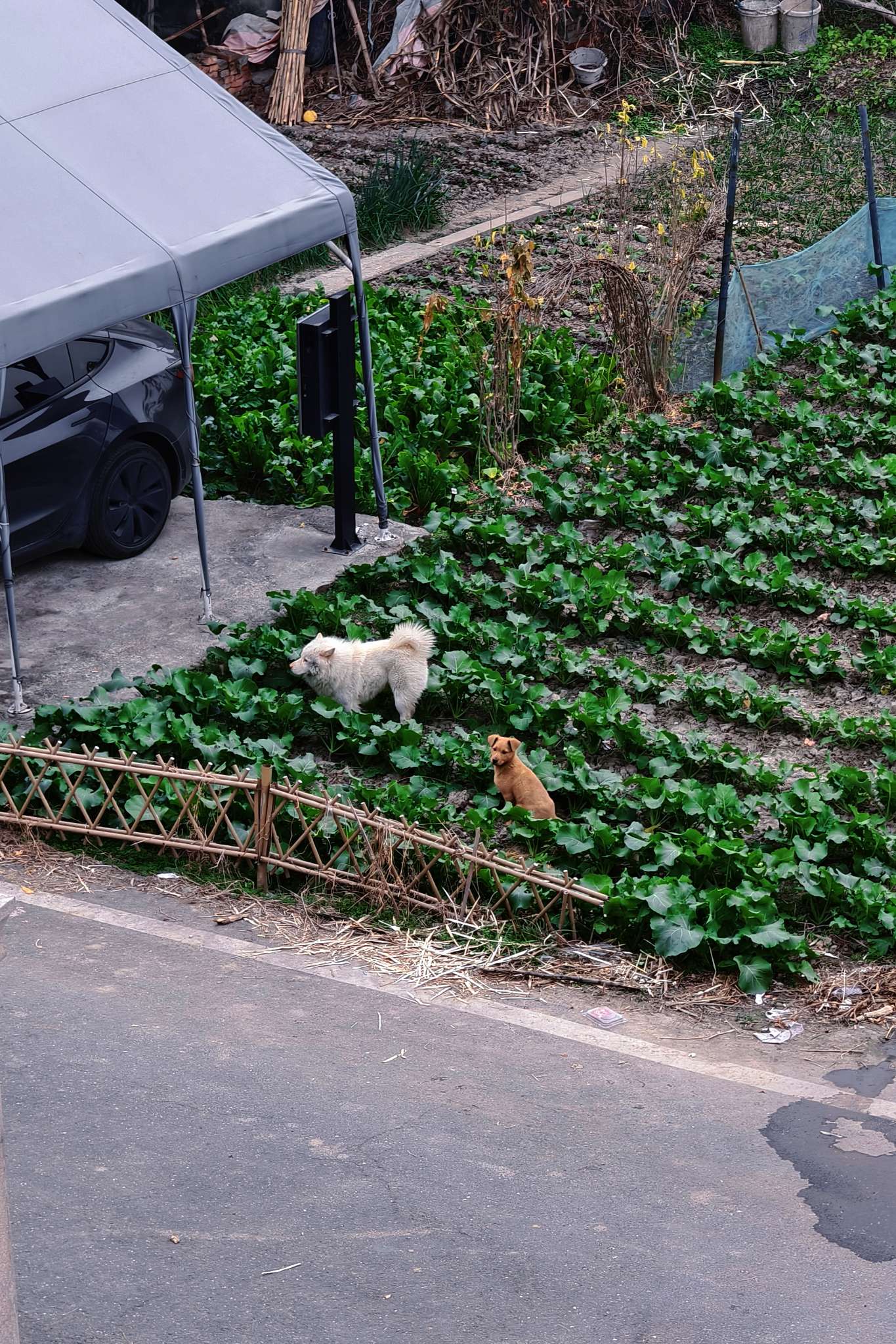 2025接近尾声📷 - 图片 4