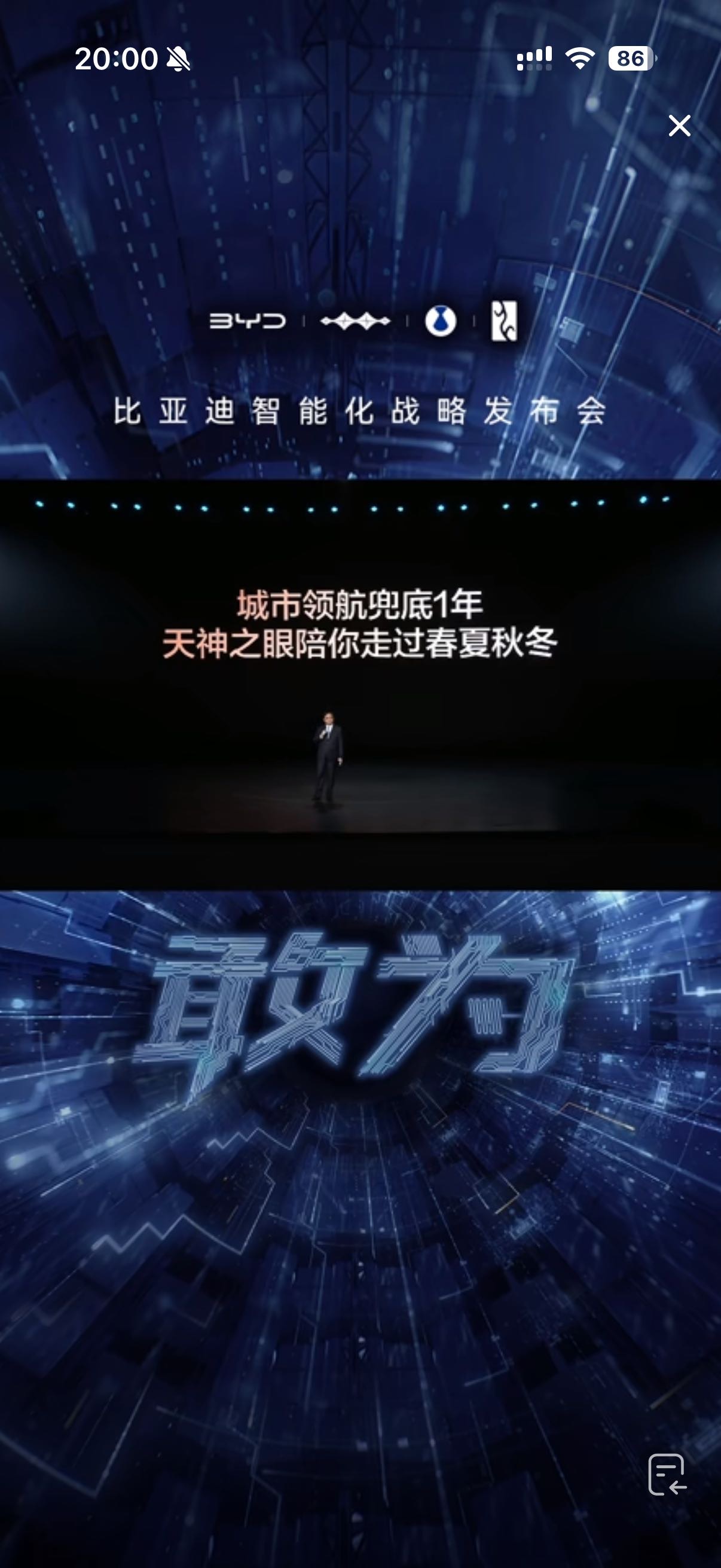 比亚迪兜底一年 - 图片 1