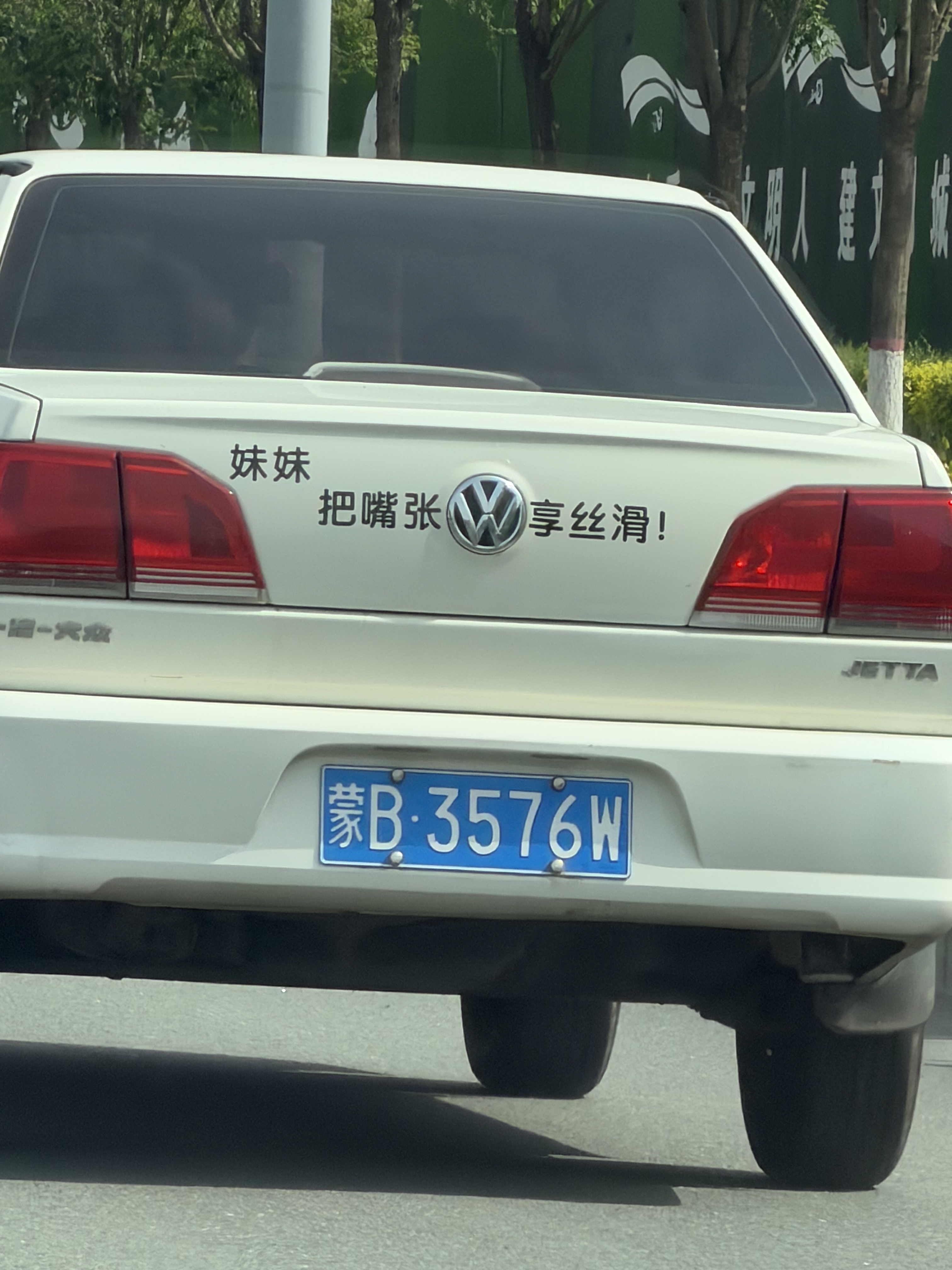 是不这个月月底的OTA更新，豆包就上线了 - 图片 1