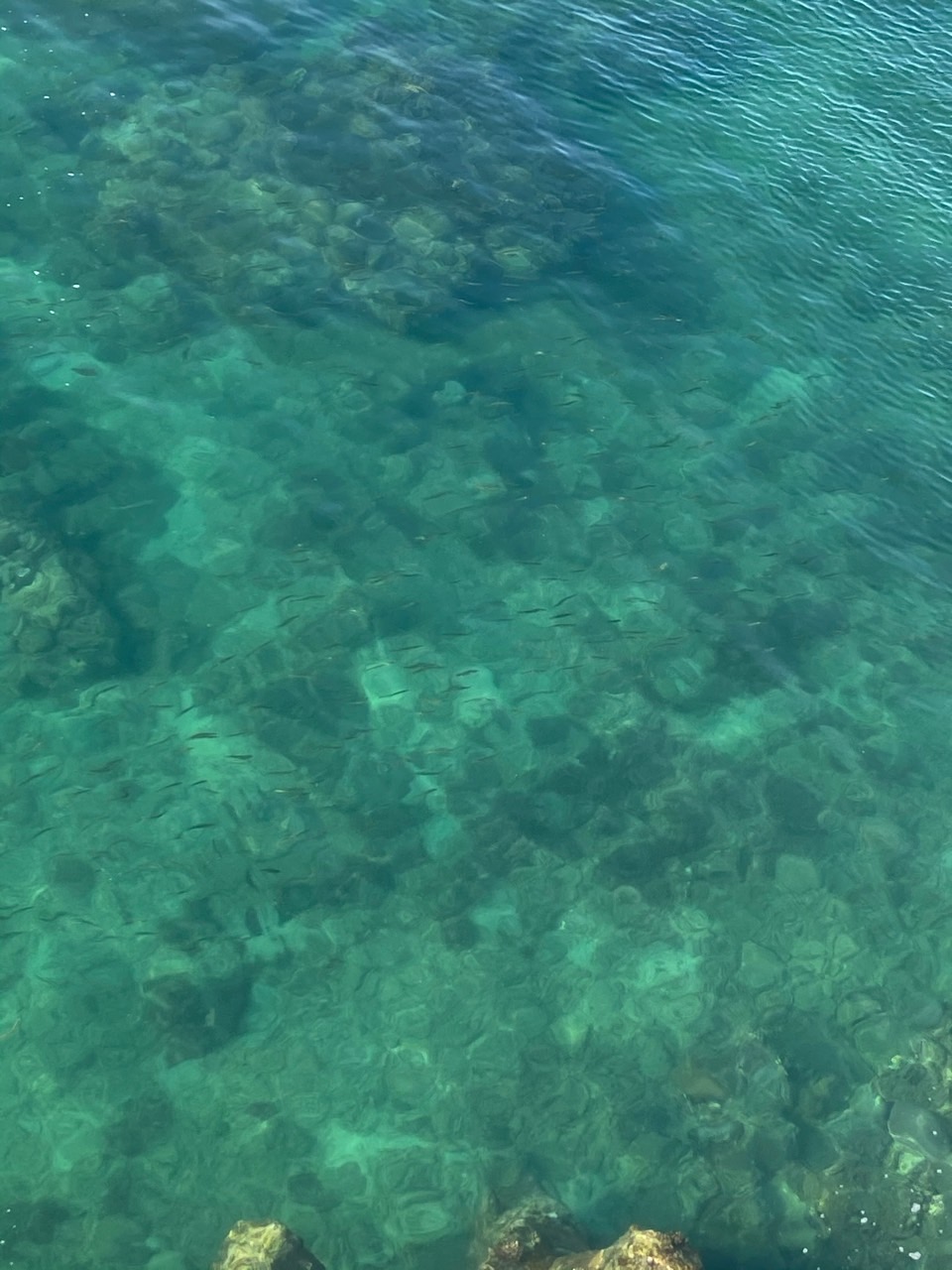 北方的铁电池车友。你们现在在的地方天气温度多少？磷酸铁锂标续真实续航多少？

三元锂的朋友就别留言了 - 图片 1