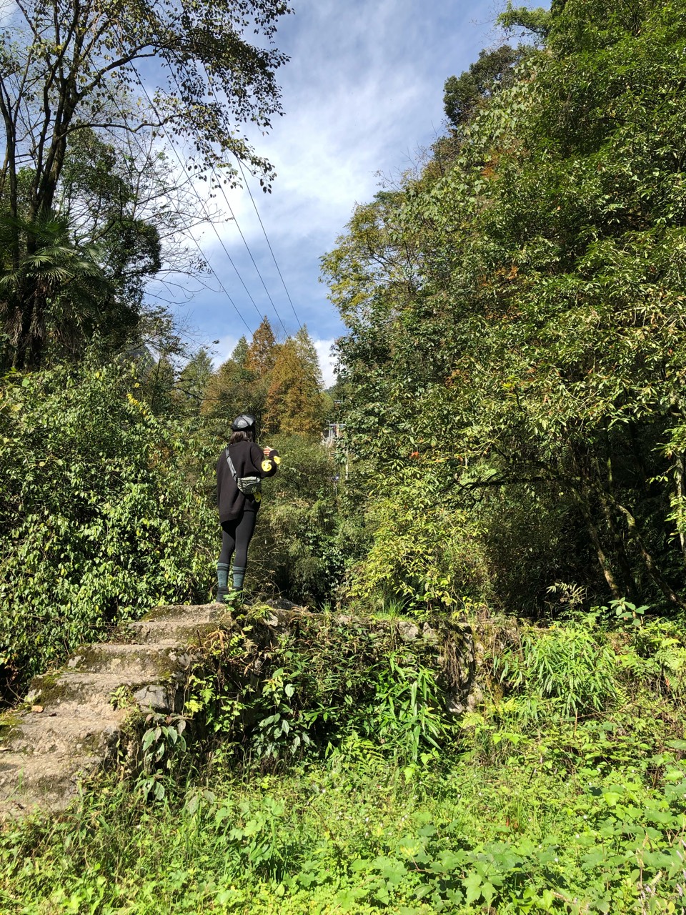 带着正太太和小三去秋了个游🌞 - 图片 3