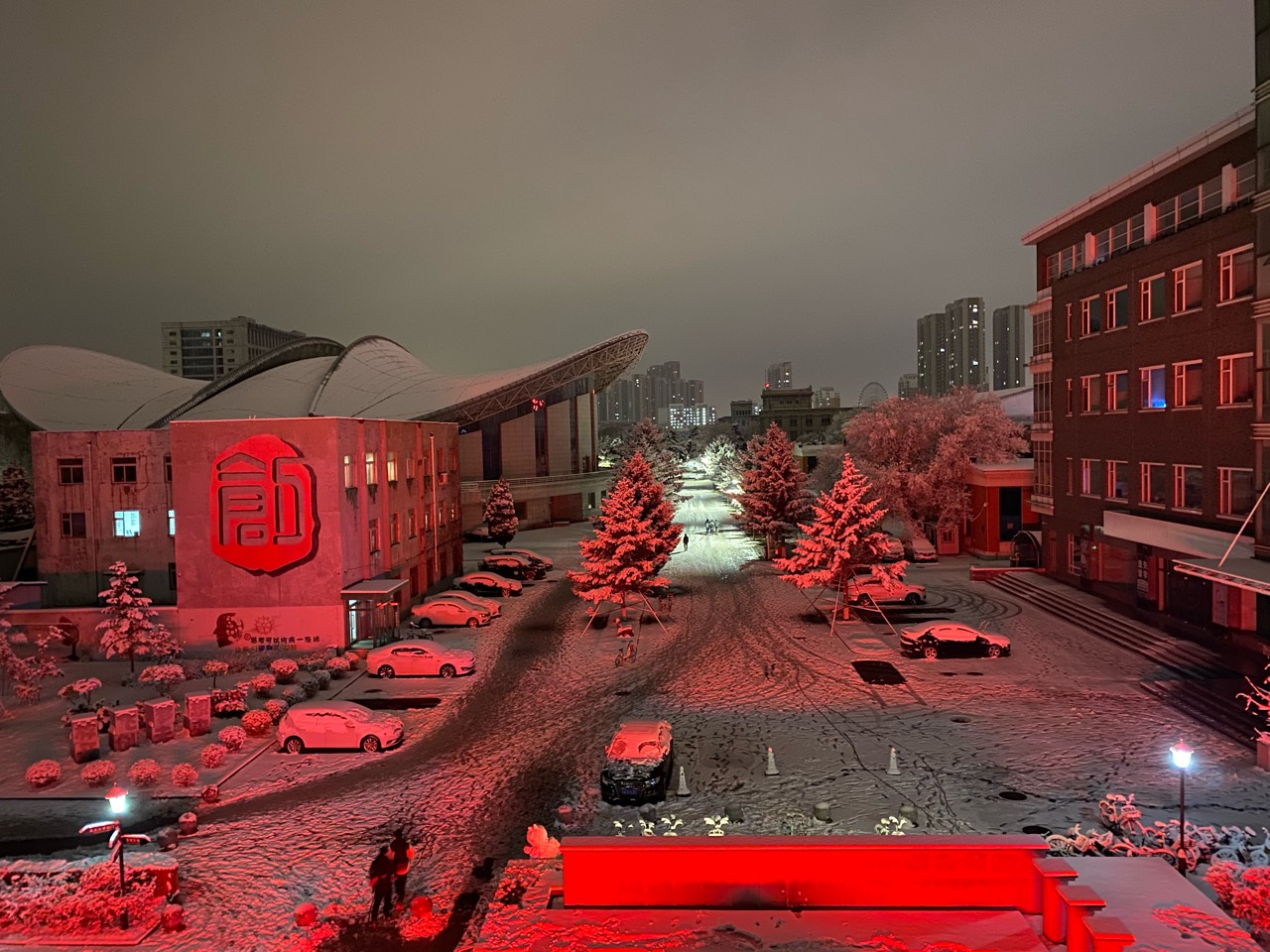 不知道明天能咋样 - 图片 2