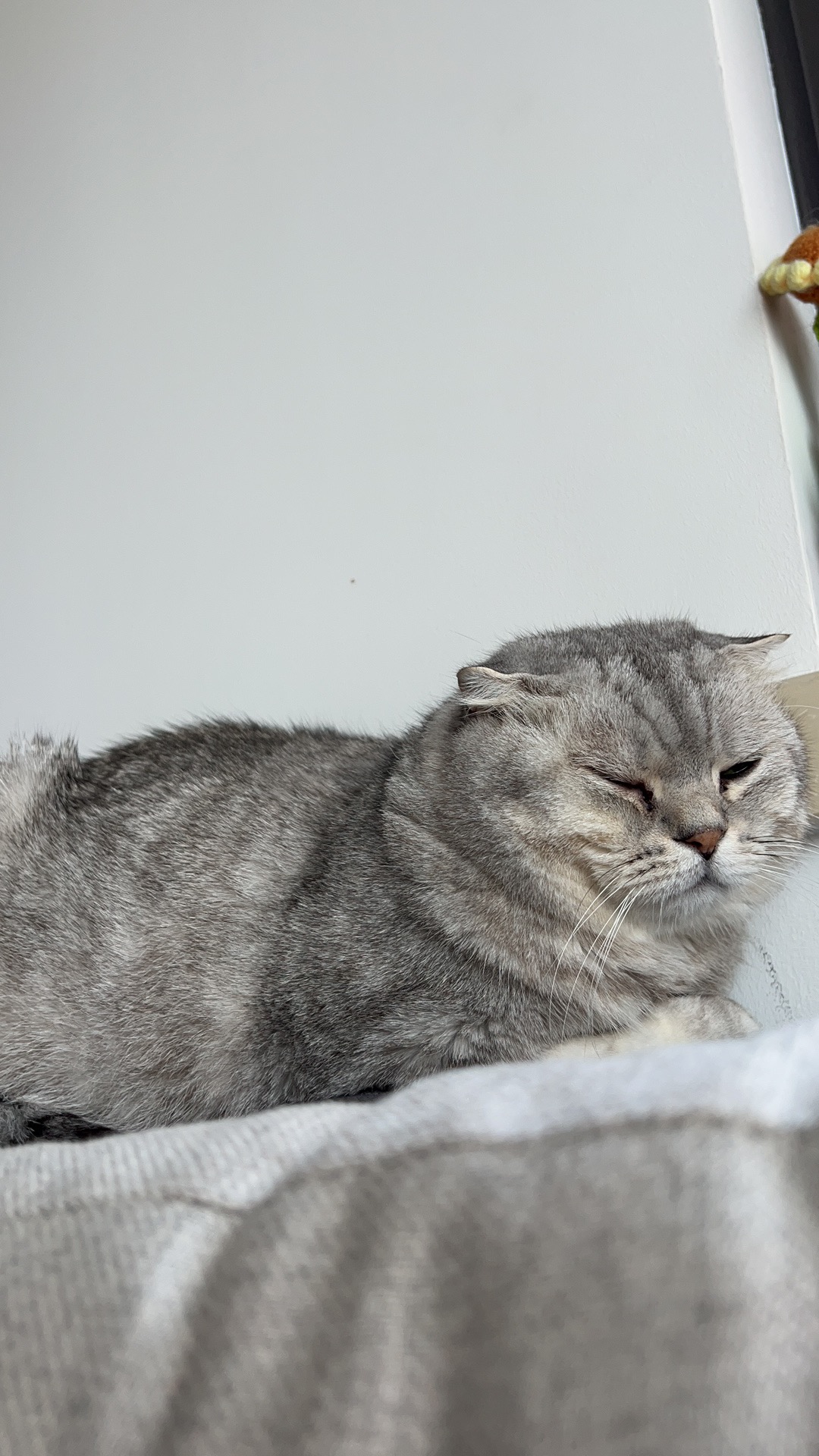 换了个新手表，结果怎么都连不上，明明蓝牙已经打开权限了，求助一下各位有没有遇到过。

同时我也有小特手机APP，小特APP卸载重新安装后可以重新配对，但是手表端的就无法重新配对

@小特叔叔 - 图片 2