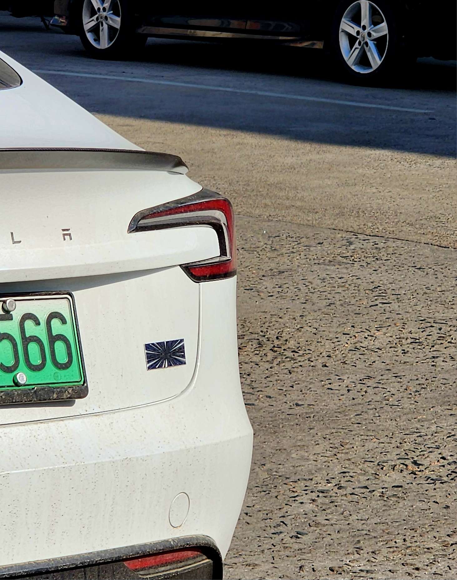 绿林韭菜 - 图片 1