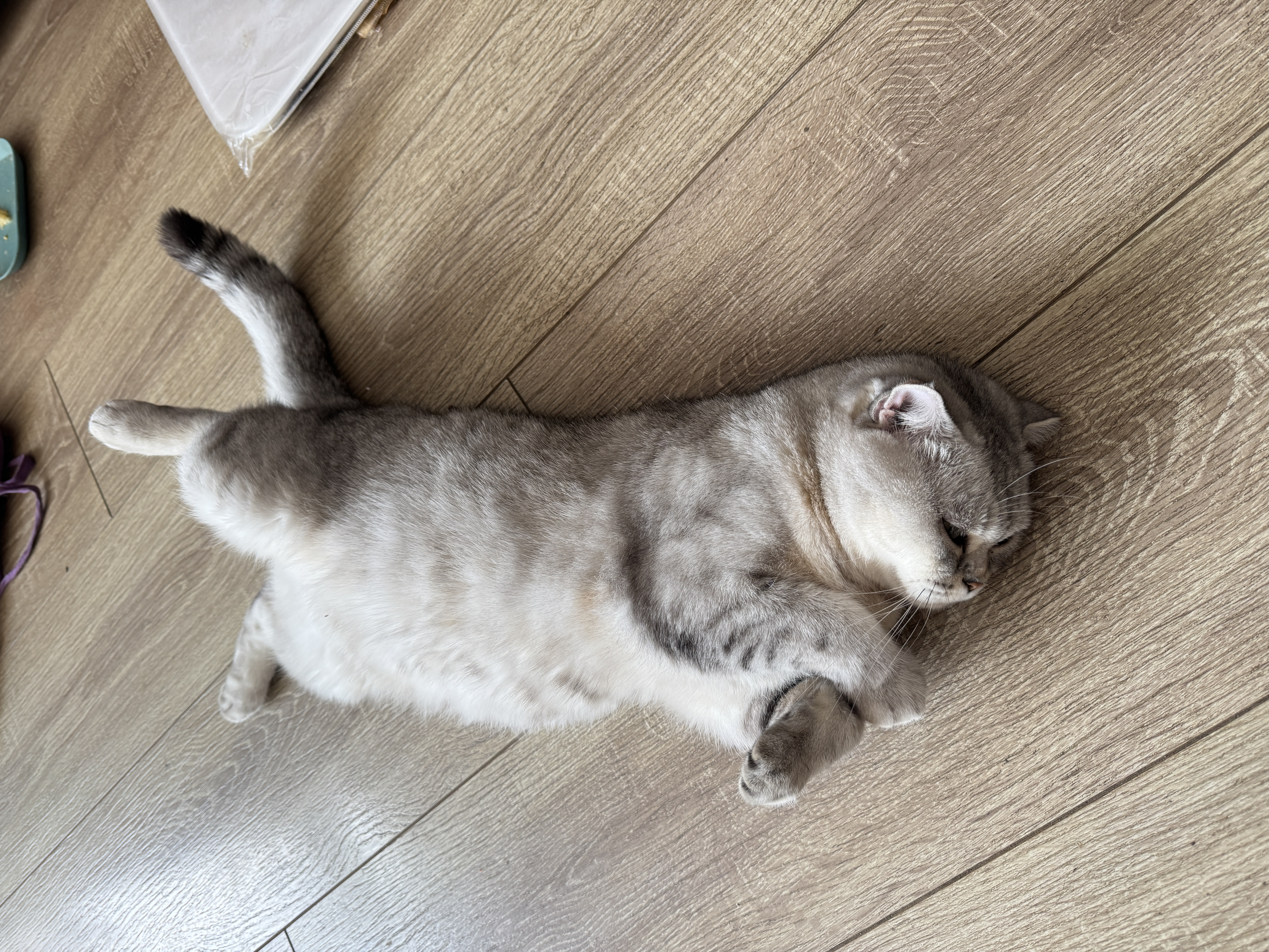 20年的特斯拉FSD都能破解是不是说明这个漏洞一直存在 为什么过去这六年没有大神发现 为什么现在发现并开源全球 难道特斯拉不知道这个漏洞存在吗 - 图片 1