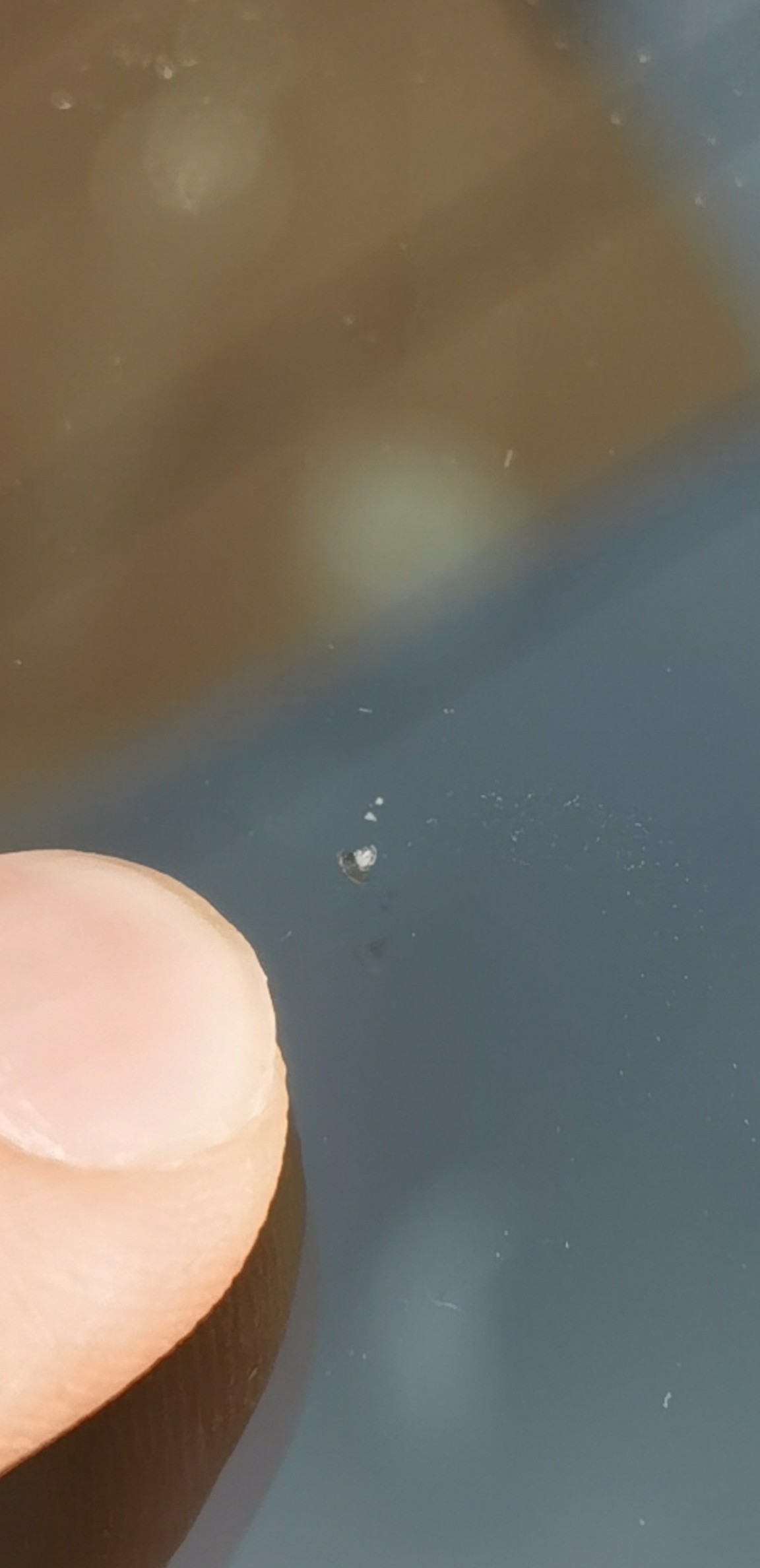 大佬们今天高架上前挡风被石子崩了一下，有了个小洞。怎么办呀大佬们😭😭 - 图片 2