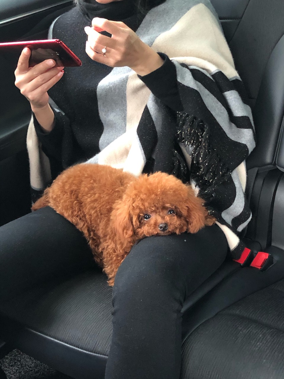 老韭菜们，我们啥时候开始免费更换3.0芯片哦，不然连锥形桶都不识别，估计不要一周会有相关信息出来吧 毕竟全国90%都不是3.0。配图和内容无关
 - 图片 1