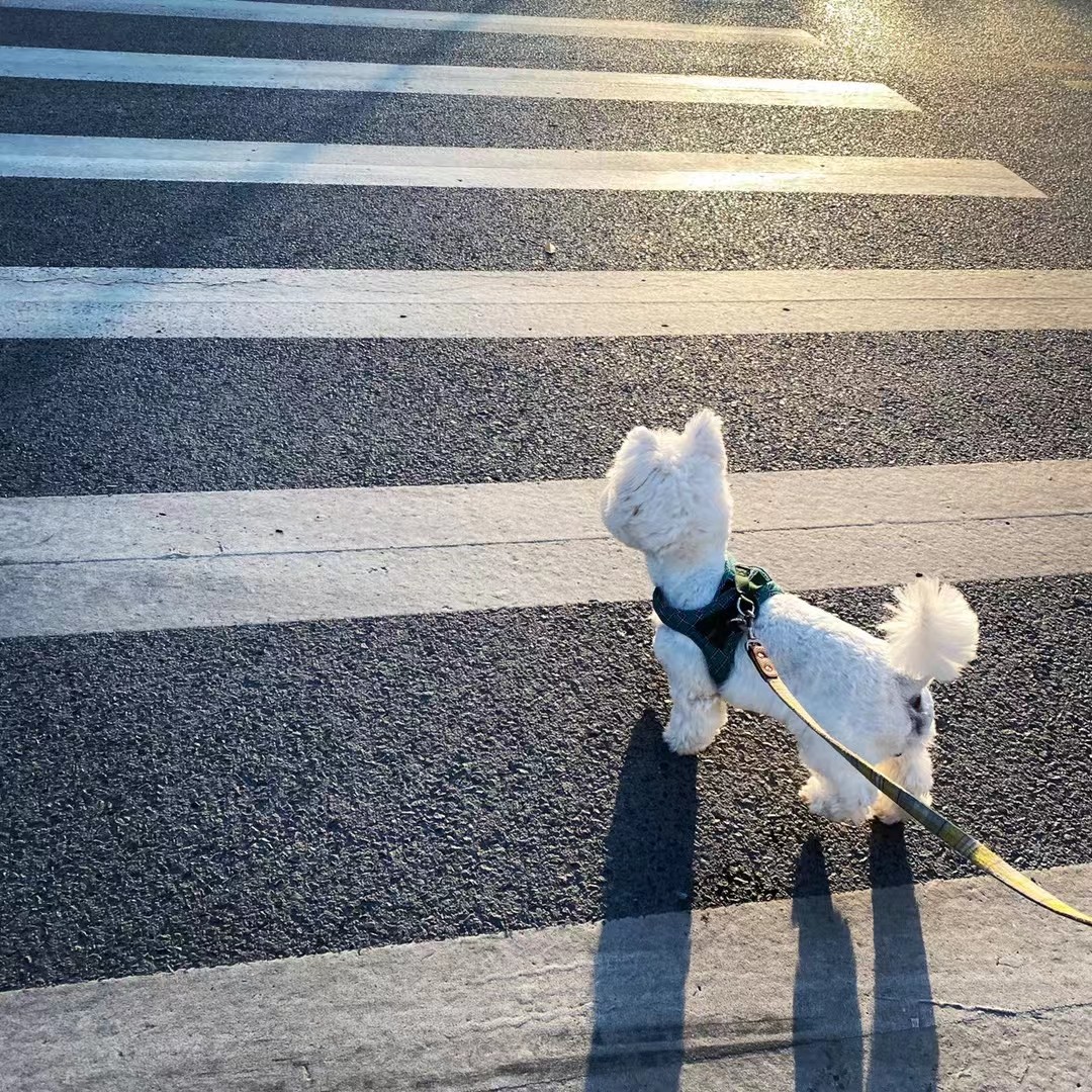 请教大家关于充电桩的安装办法，坐标广州，19年订车送的特斯拉充电桩这会家里终于有车位了就想着报装。
由于家住15楼，车位在负一，早两天报装物业师傅让把表箱装去自己所属楼层，预估走线需要100米且非常复 - 图片 1