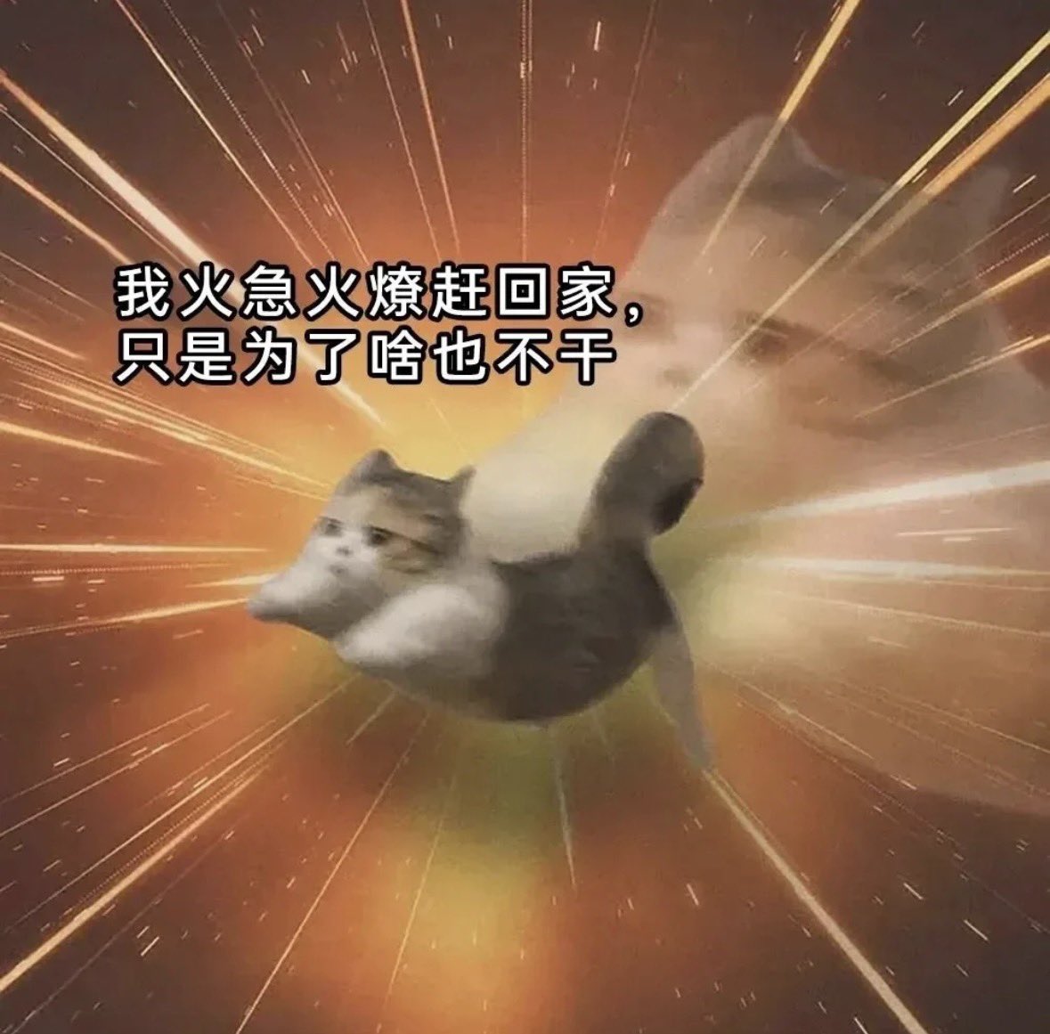 YL 在日本发布
- 单次充电续航里程：788公里（WLTC值）
啊？在中国cltc吹拉弹唱也只有750公里
日本这个wltc788绝对是新电池包啊，而且就是上海生产的。
，这是不是实锤了新版就在路上 - 图片 1