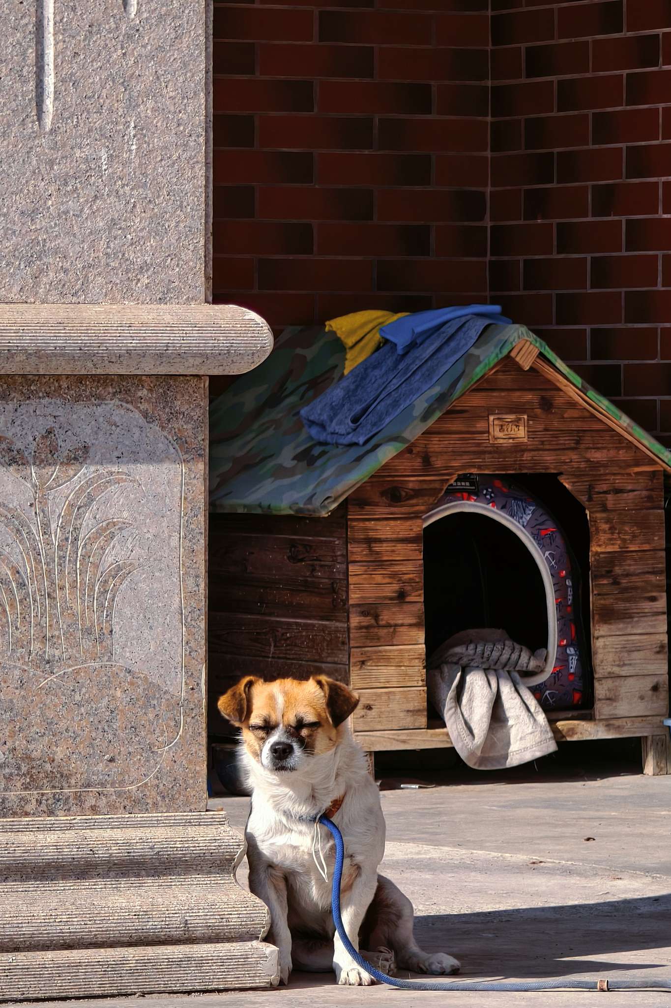 2025接近尾声📷 - 图片 1