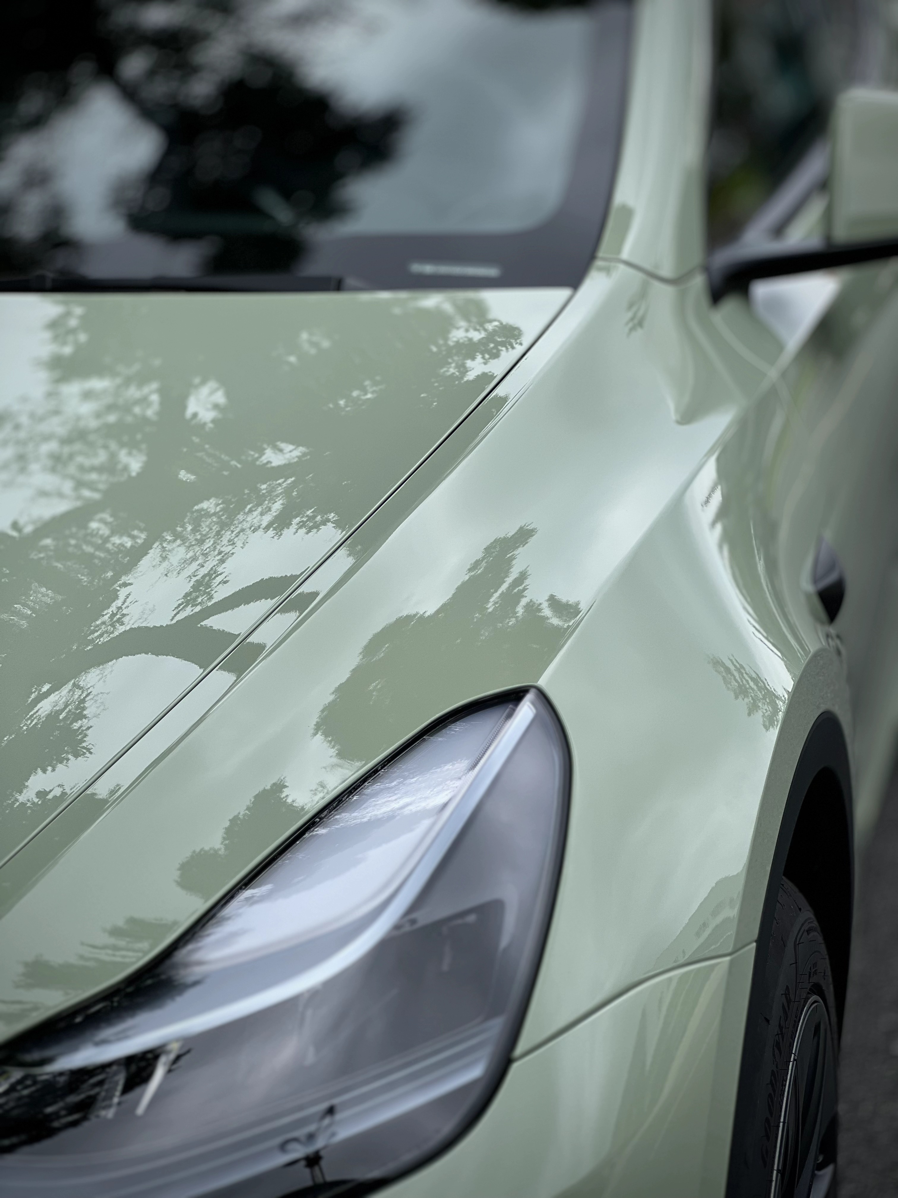 特斯拉Model Y，水晶卡其绿! 温温柔柔的莫兰迪色系！百看不厌的绿！ - 图片 9