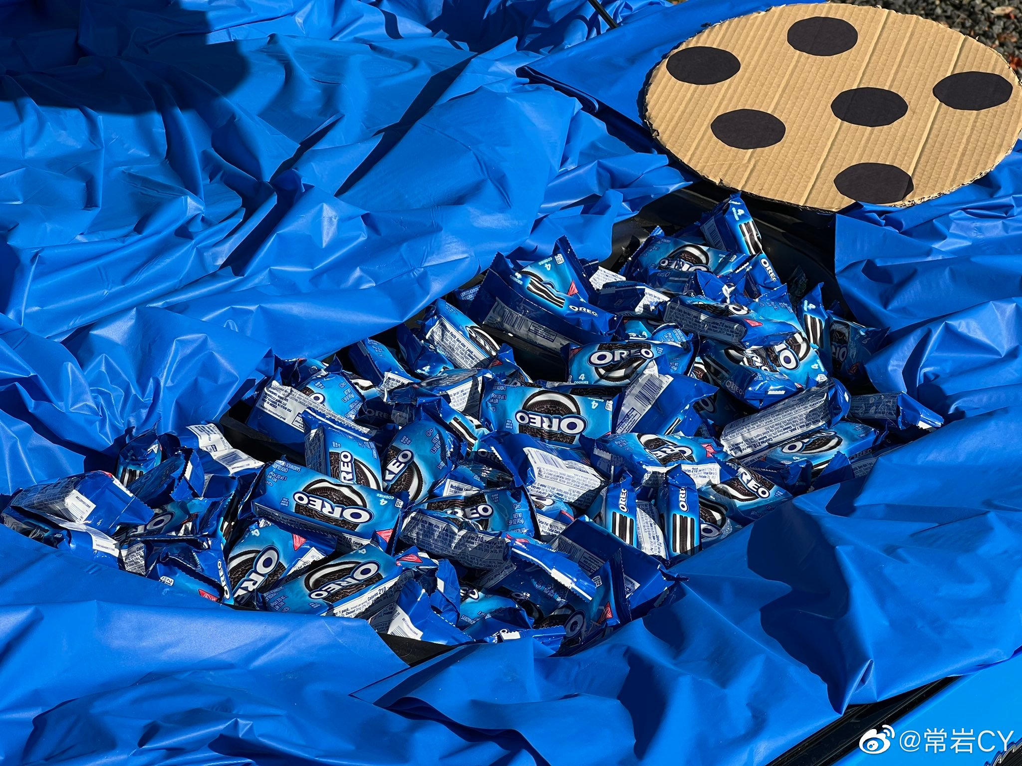 我今年见得最不吓人的万圣节装扮：Mach-E装成奥利奥  - 图片 3