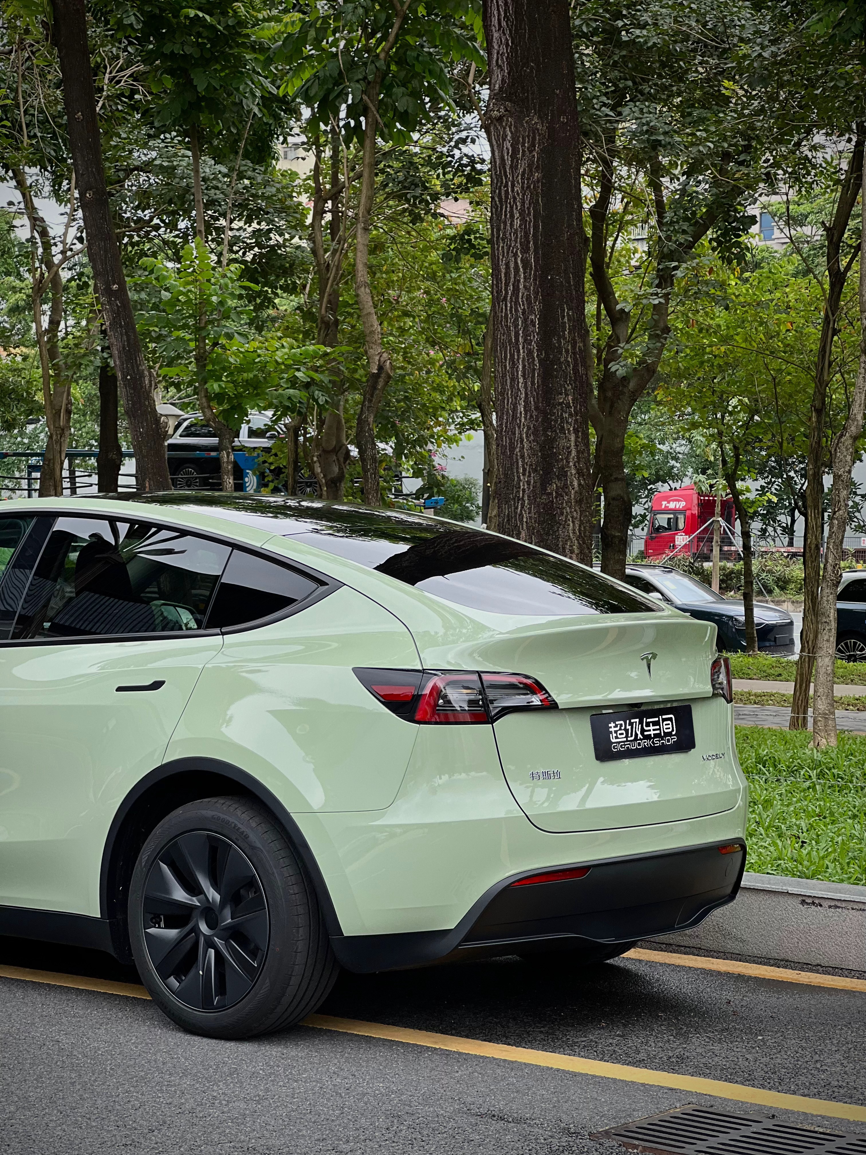 特斯拉Model Y，水晶卡其绿! 温温柔柔的莫兰迪色系！百看不厌的绿！ - 图片 5