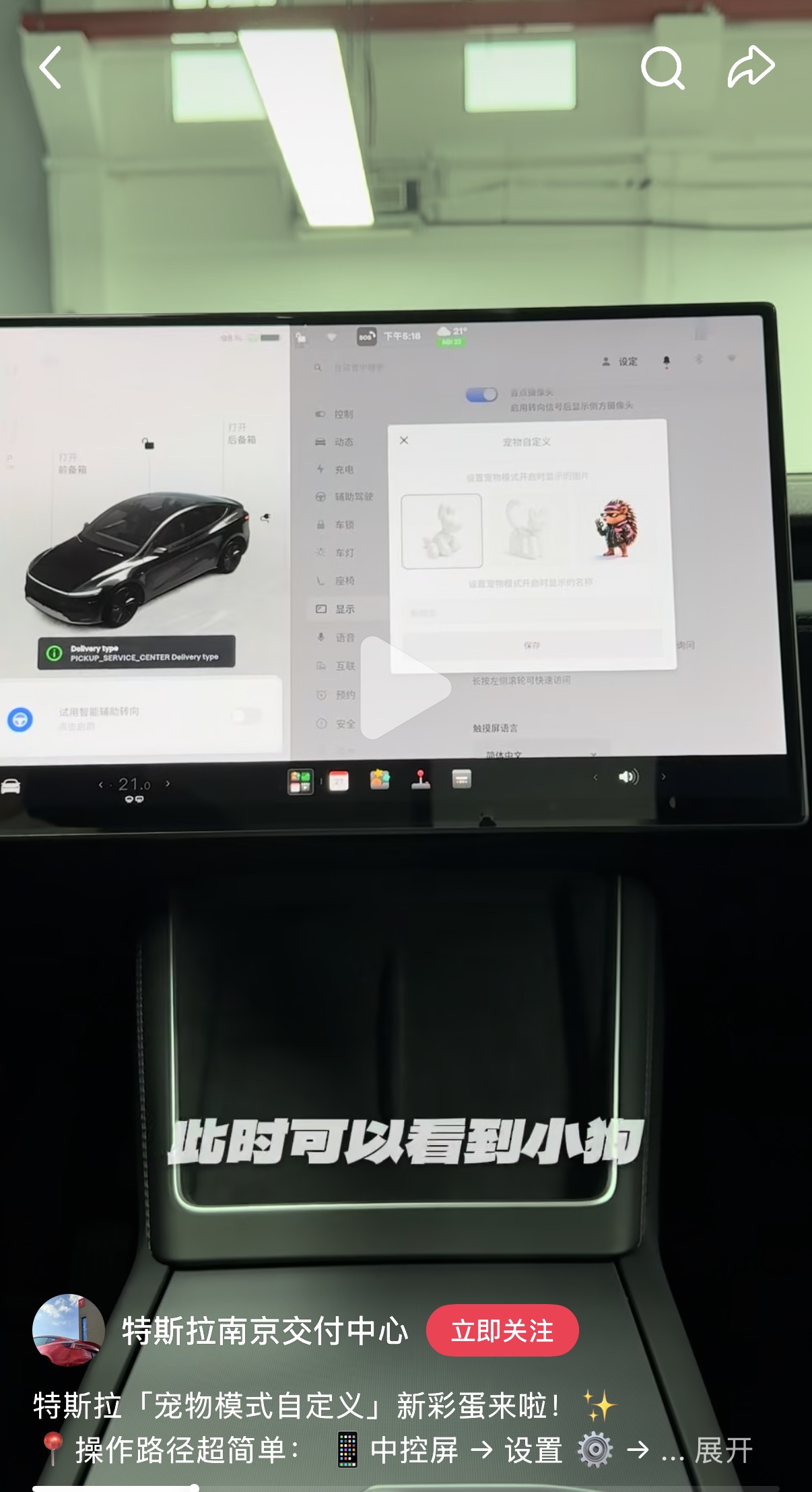 出厂交付版本是2026.14了，目前还不知道是否有自动换挡和FSD V14 - 图片 1