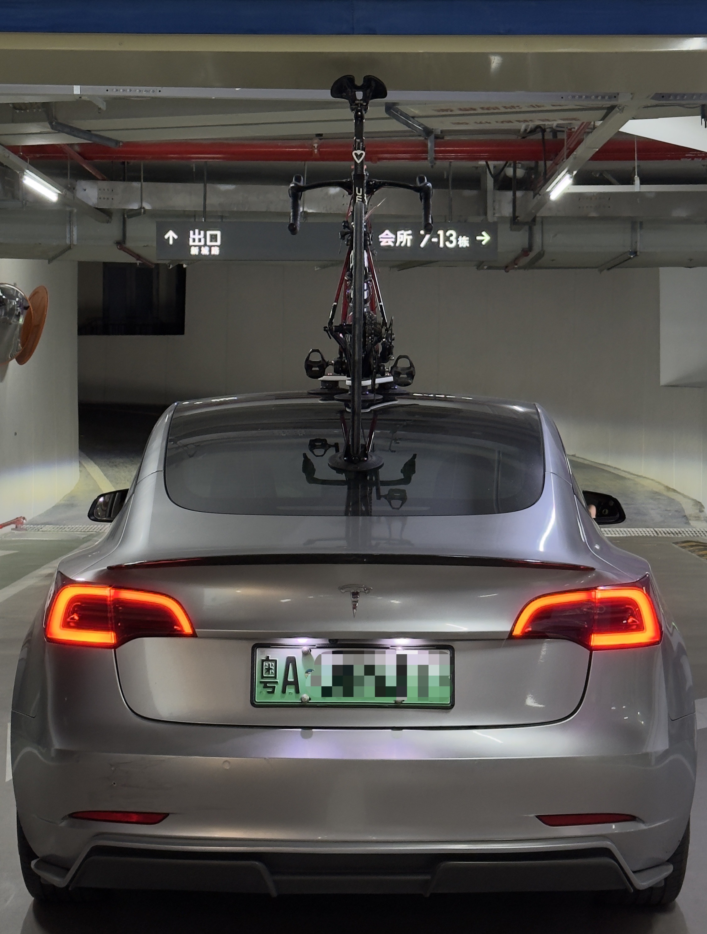 陪伴了我3年多的老朋友
只有更爱 没有不爱 - 图片 2