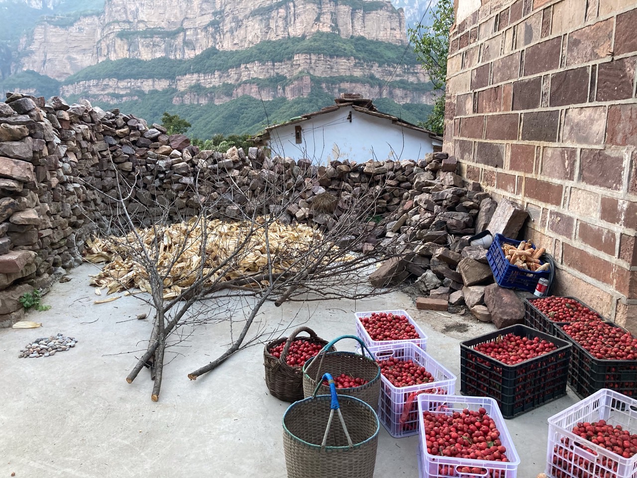 中原大地转个山 - 图片 7