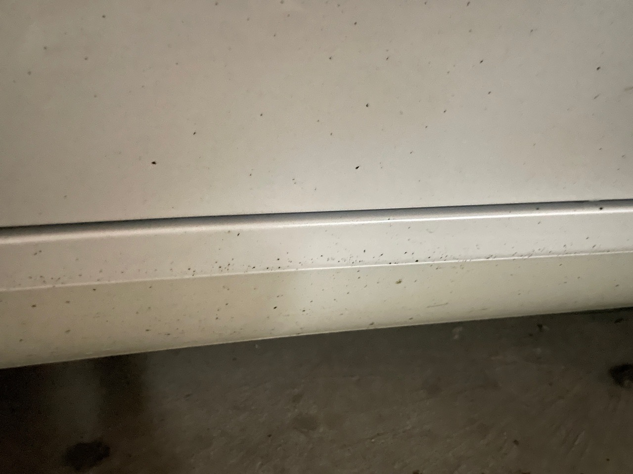 这是什么？黑点点的擦不掉 - 图片 1