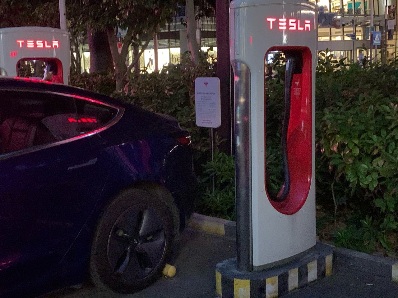 希望
特友自觉，常见到占位不充电的 - 图片 1