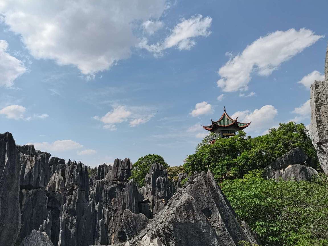 1千多公里，特斯拉超充2.2一度也不便宜。羡慕免费超充的 - 图片 1