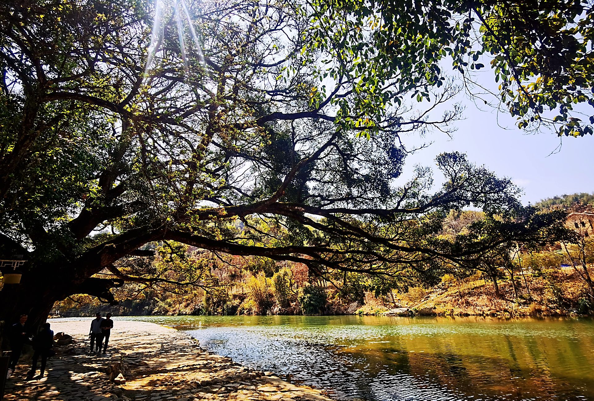 各位大神 谁开着小3 续航360公里的标准版 去过西藏的 - 图片 1