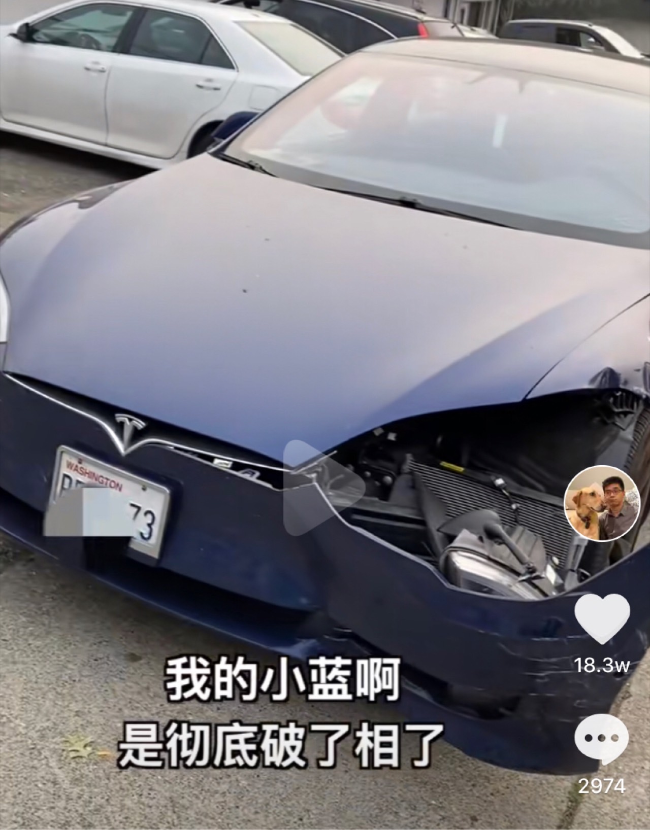 保罗好惨💦 - 图片 1