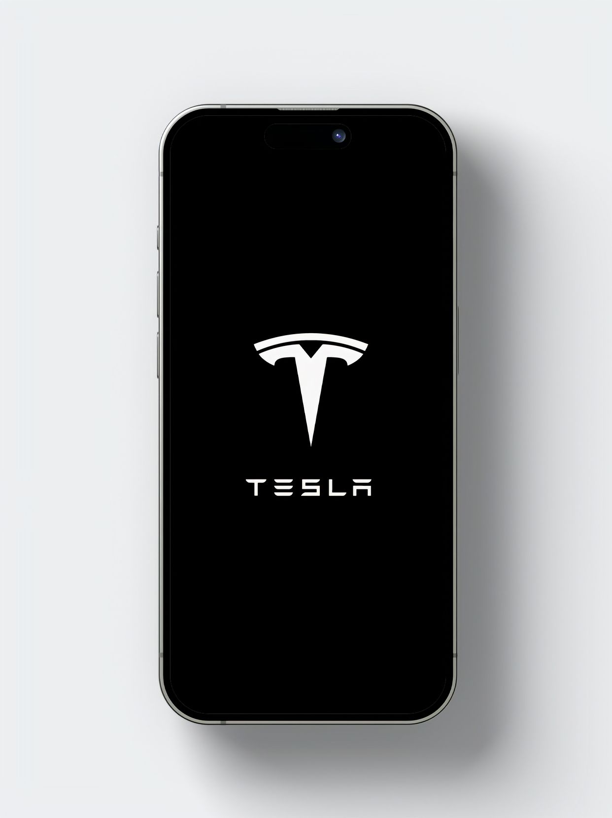 好纠结，特斯拉，到底选什么颜色比较好，有说白色，有说黑色 - 图片 1